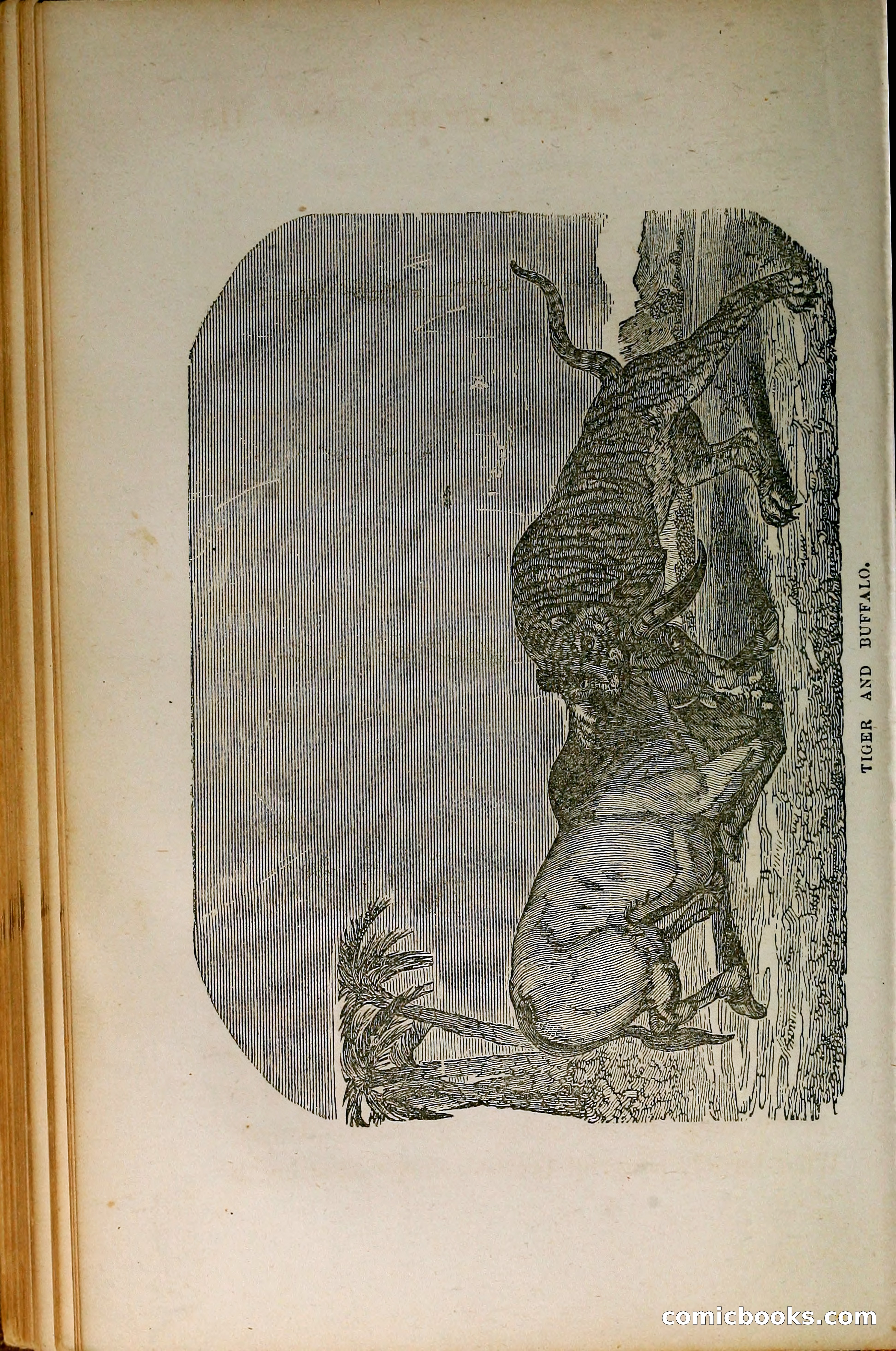 Thrilling Adventures by Land and Sea — page 123 of 399