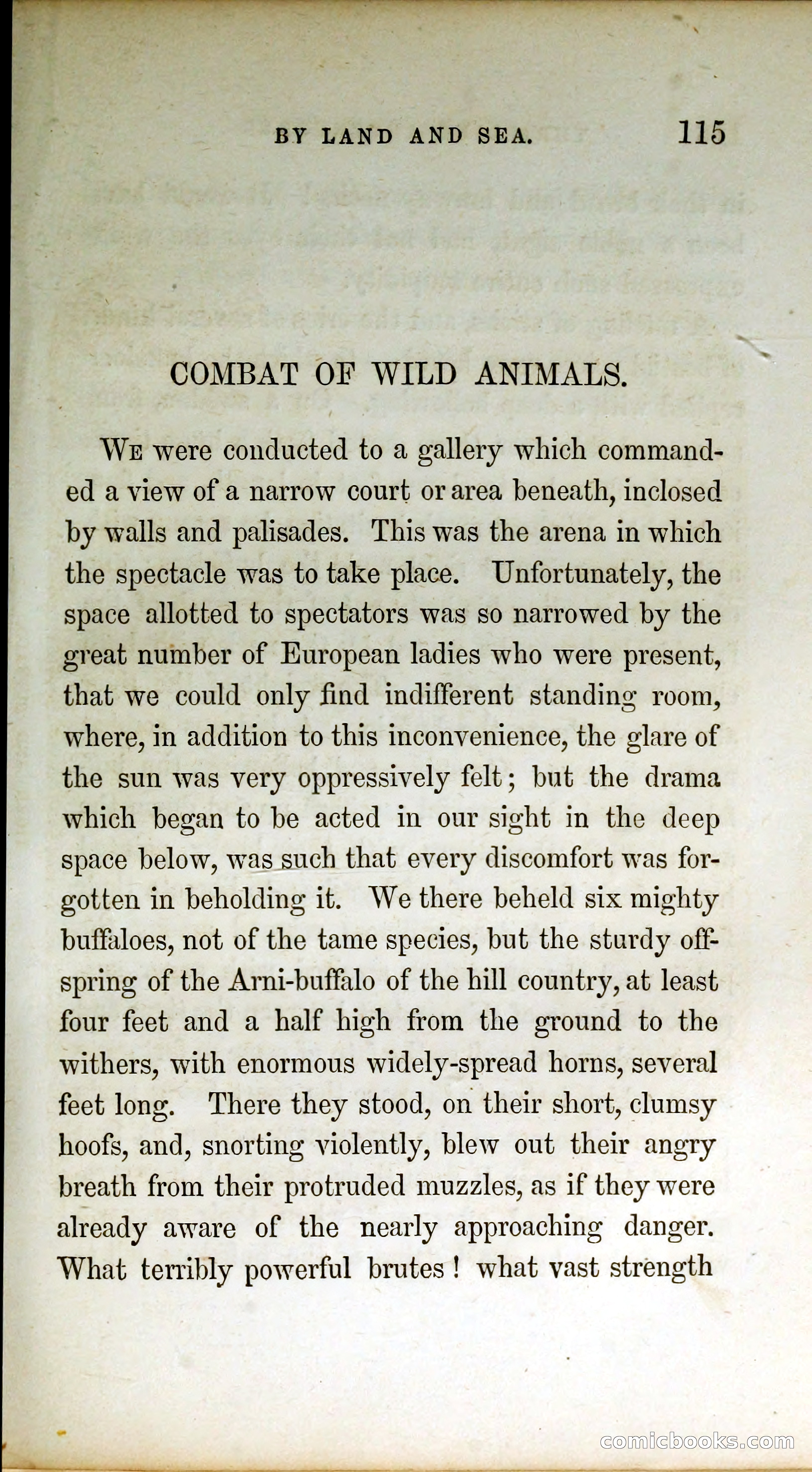 Thrilling Adventures by Land and Sea — page 124 of 399