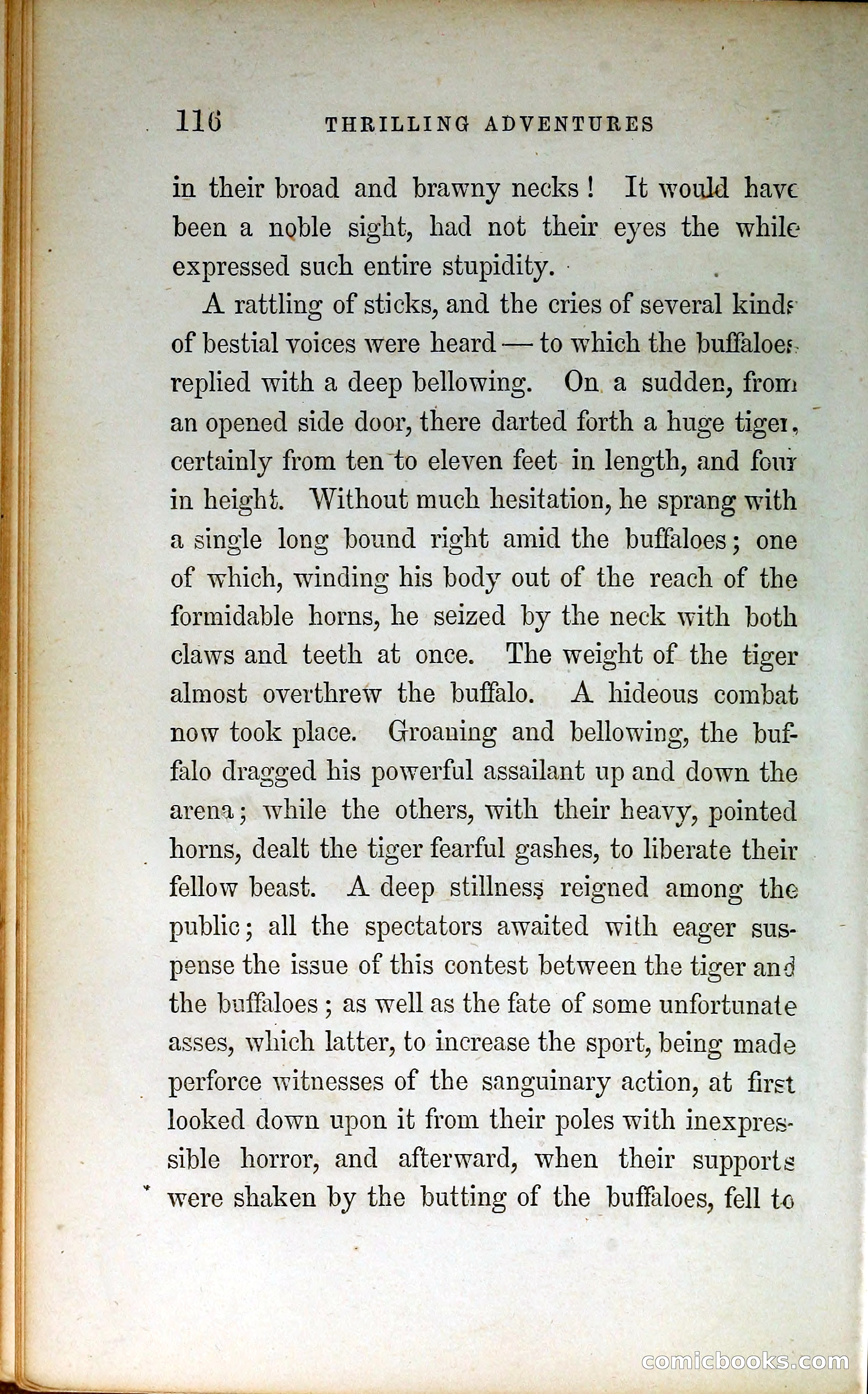 Thrilling Adventures by Land and Sea — page 125 of 399