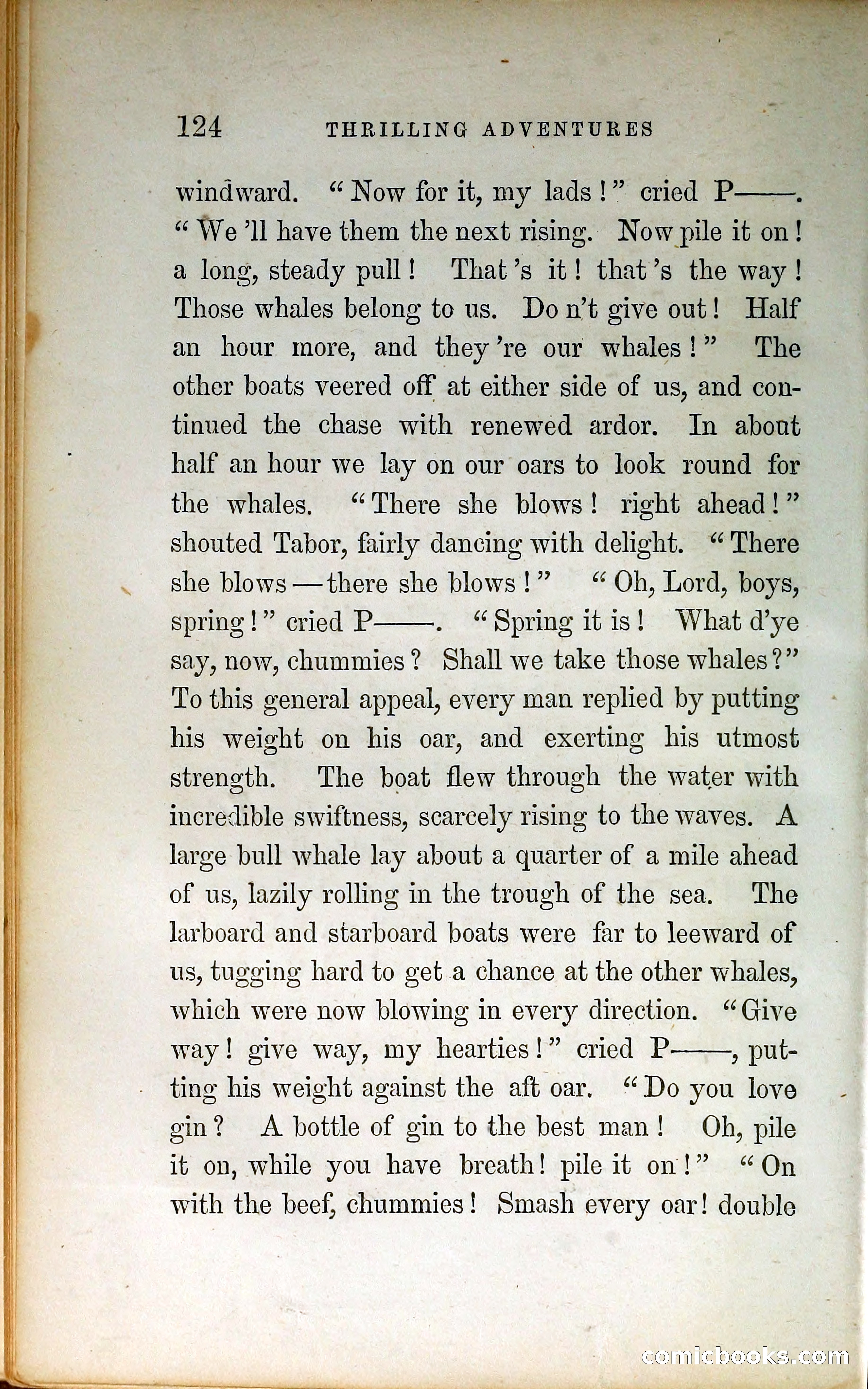 Thrilling Adventures by Land and Sea — page 133 of 399