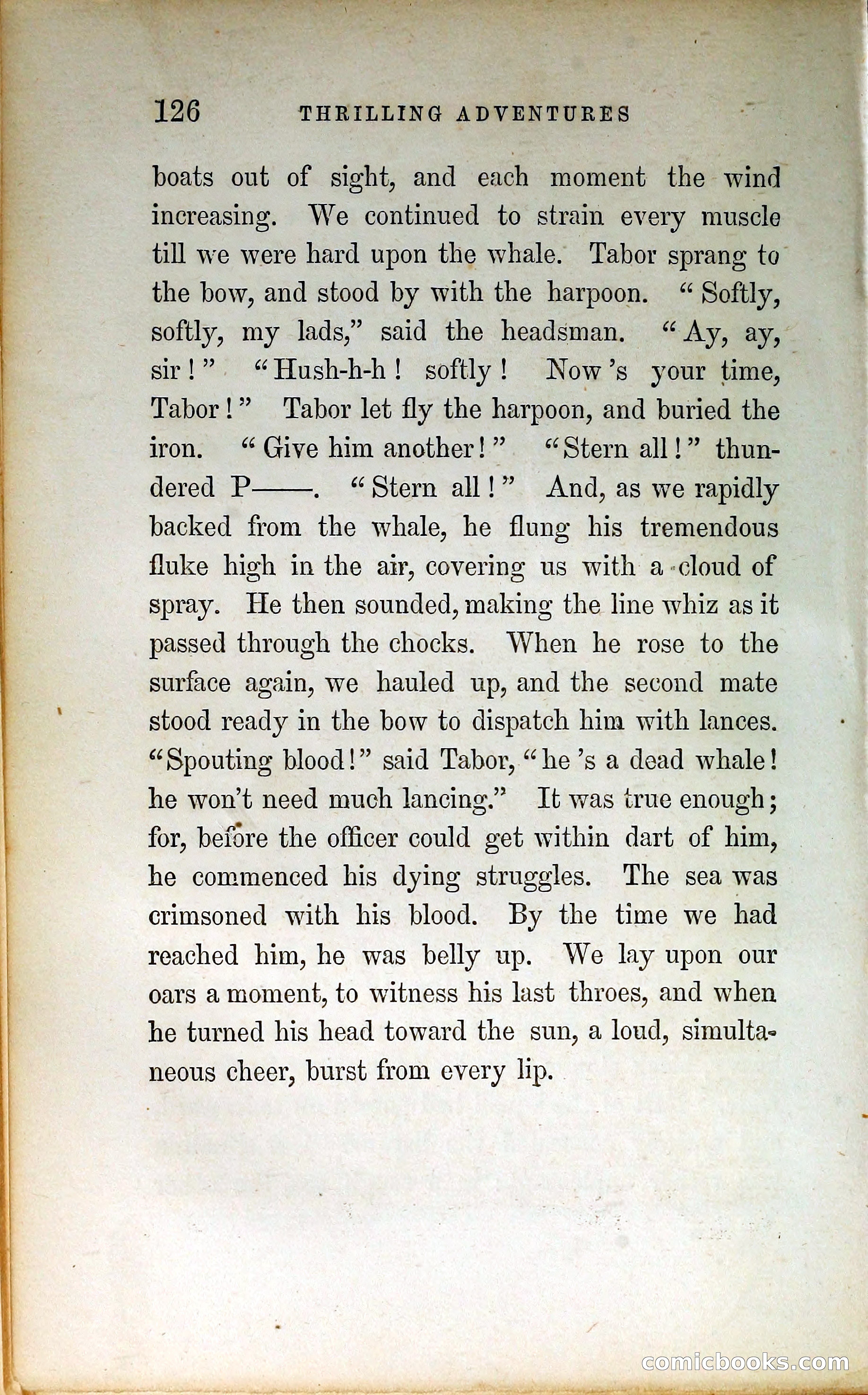 Thrilling Adventures by Land and Sea — page 135 of 399