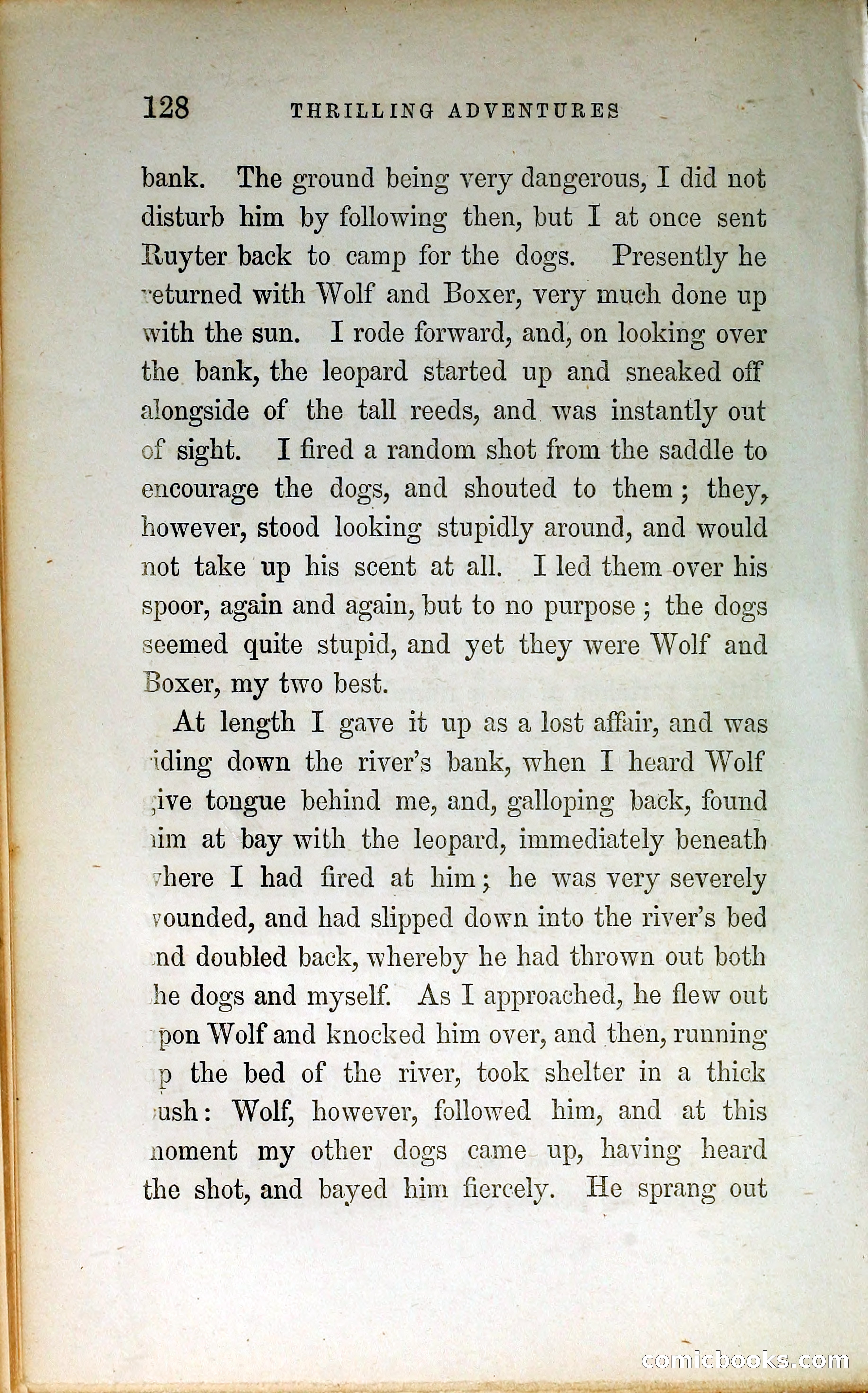 Thrilling Adventures by Land and Sea — page 137 of 399