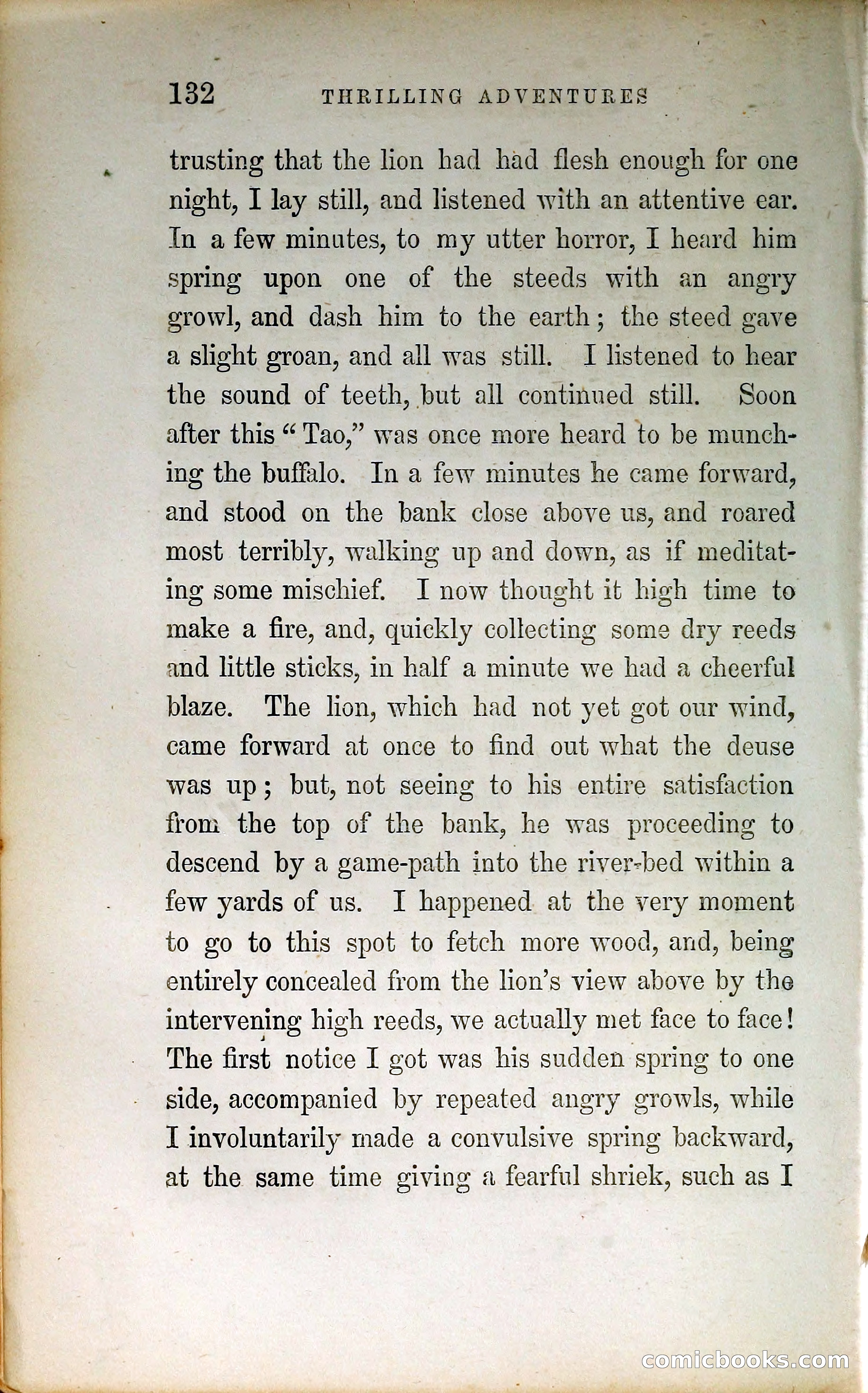 Thrilling Adventures by Land and Sea — page 141 of 399