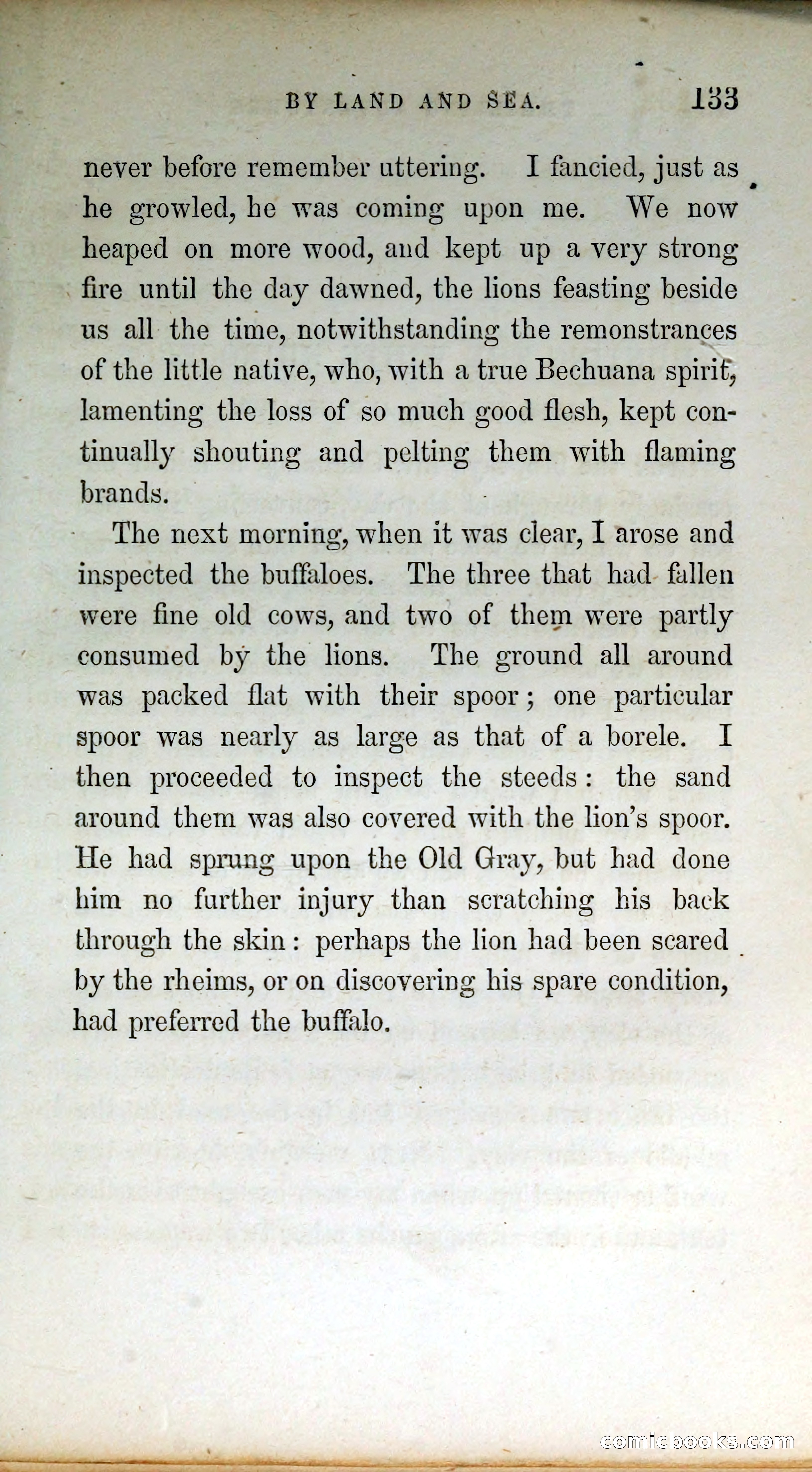 Thrilling Adventures by Land and Sea — page 142 of 399