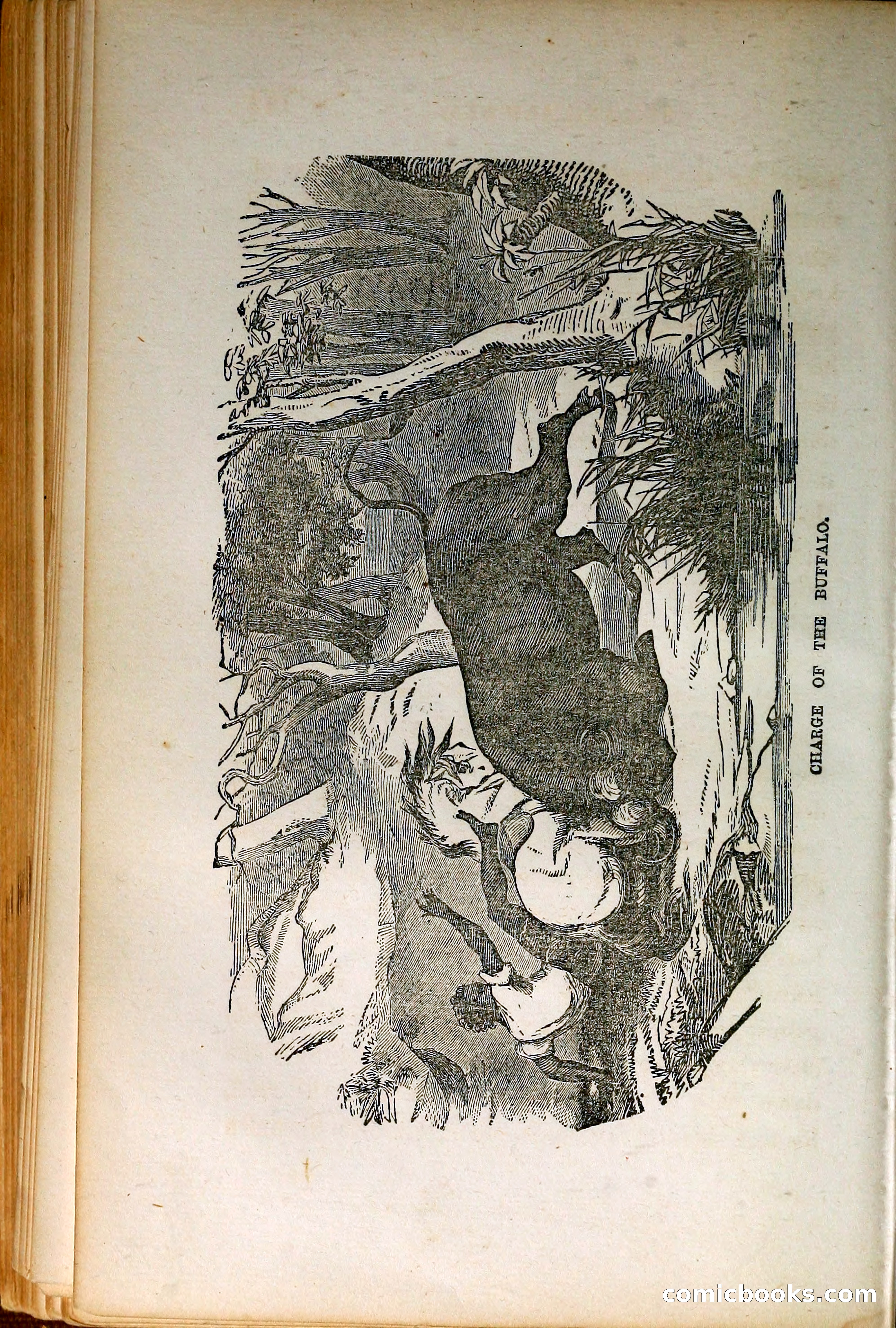 Thrilling Adventures by Land and Sea — page 151 of 399