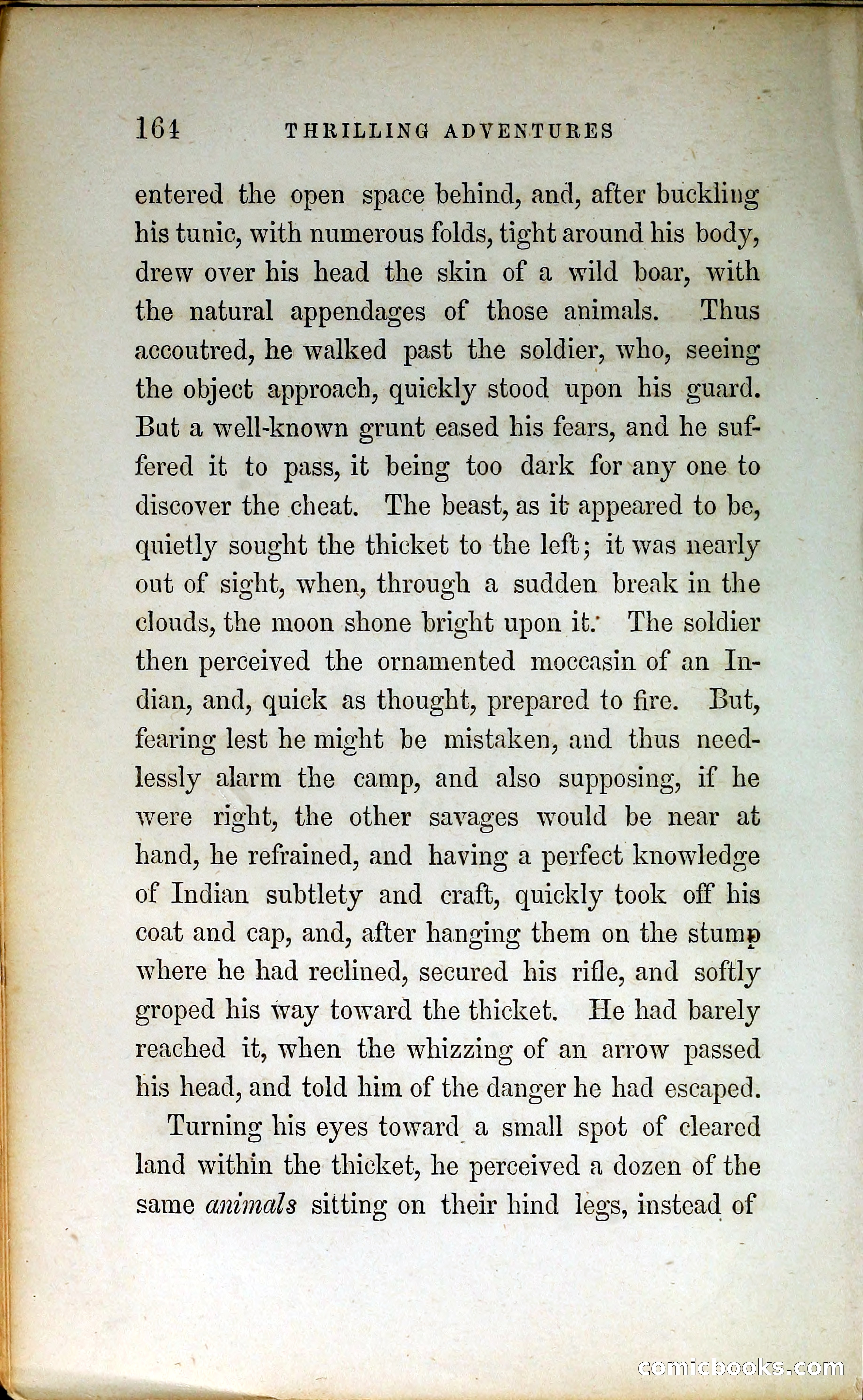 Thrilling Adventures by Land and Sea — page 173 of 399