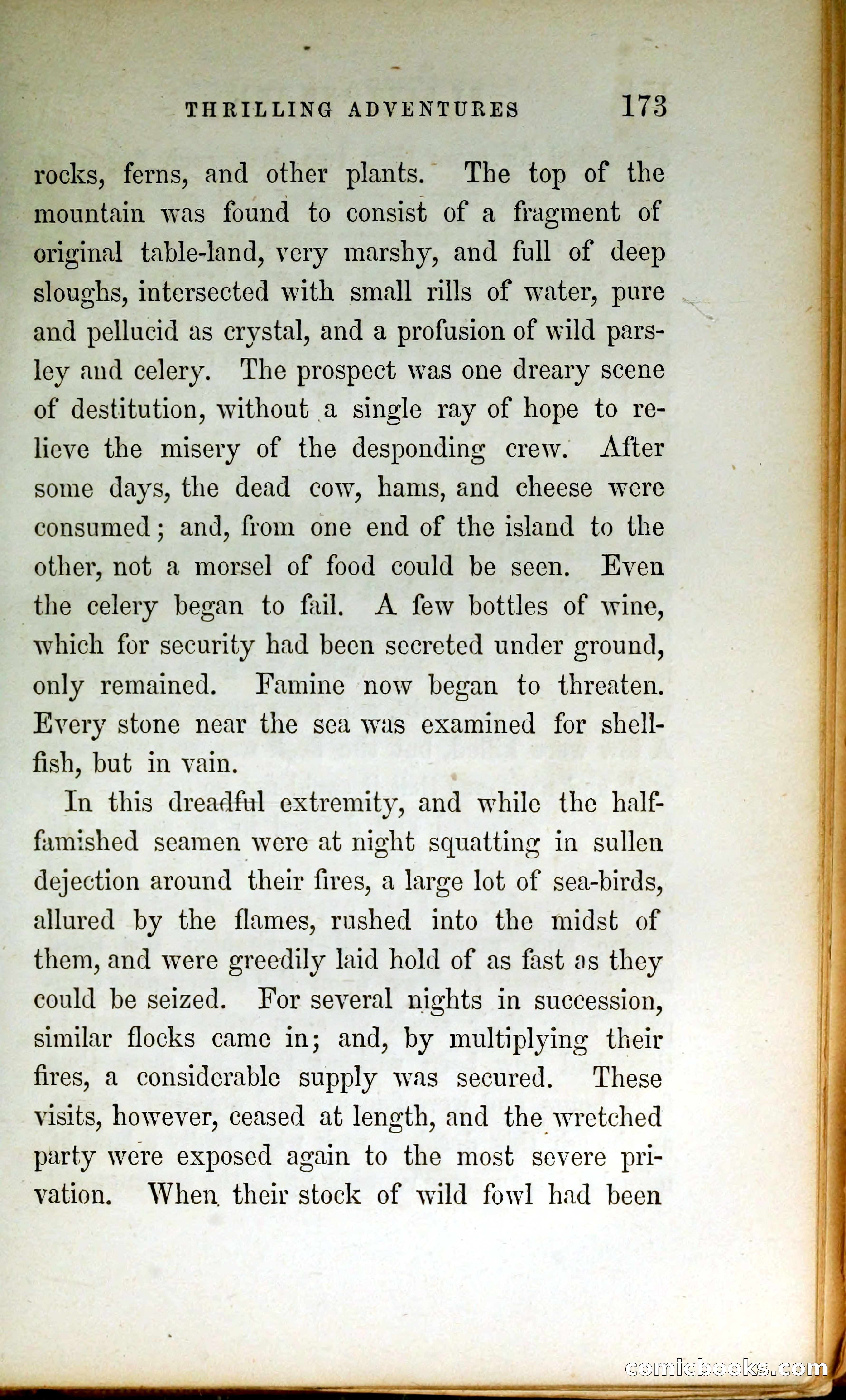 Thrilling Adventures by Land and Sea — page 182 of 399