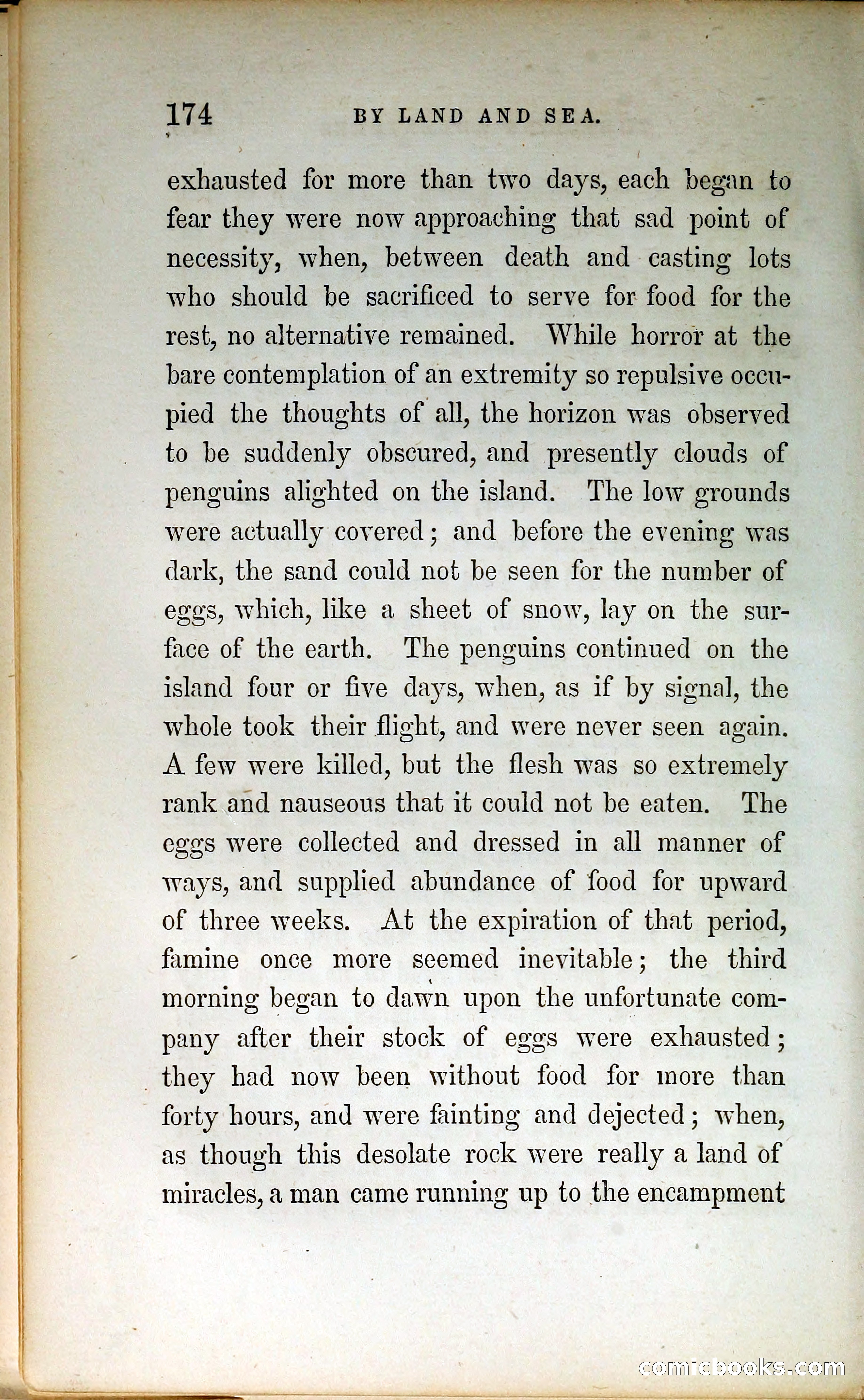 Thrilling Adventures by Land and Sea — page 183 of 399