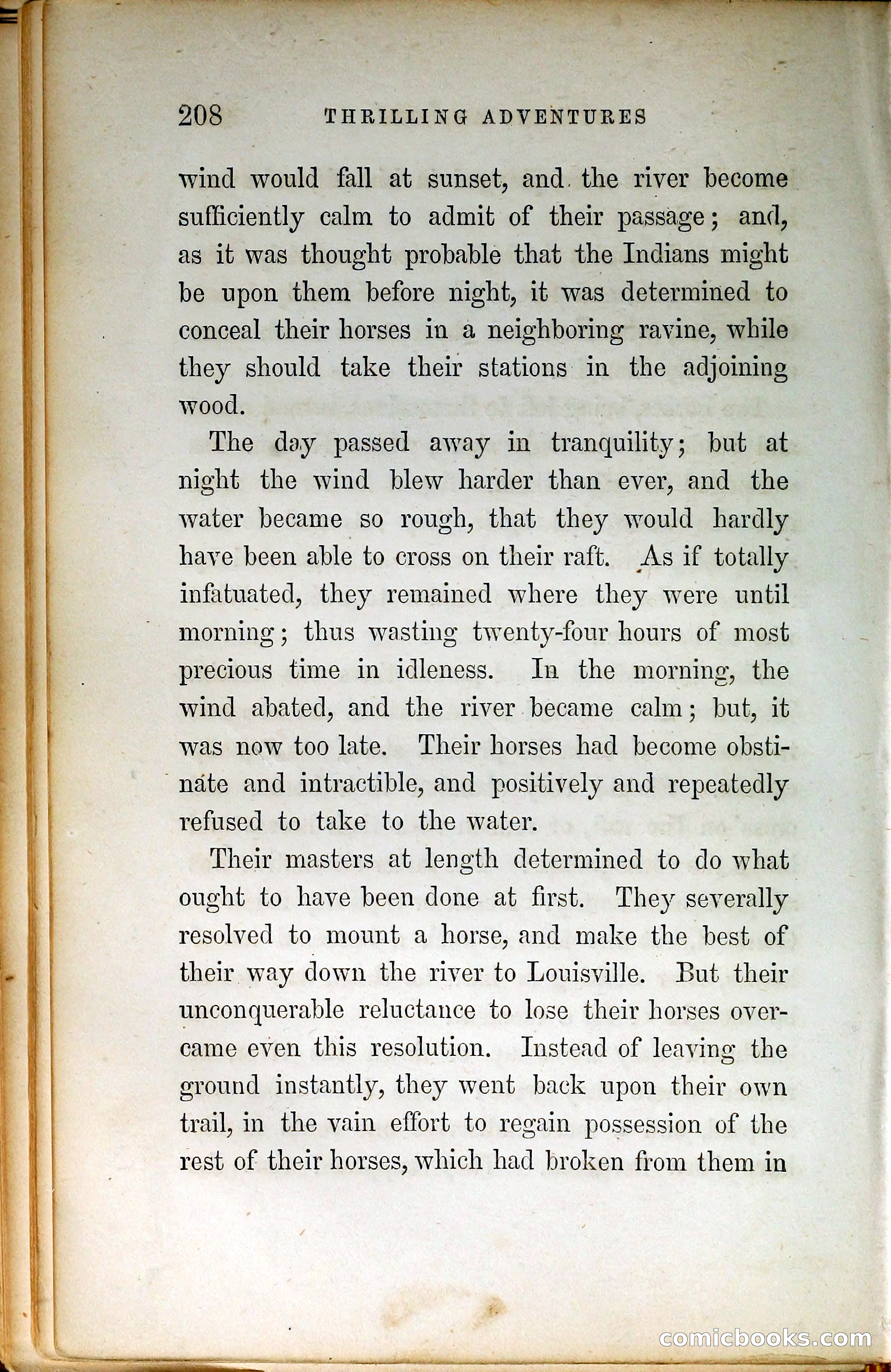 Thrilling Adventures by Land and Sea — page 217 of 399