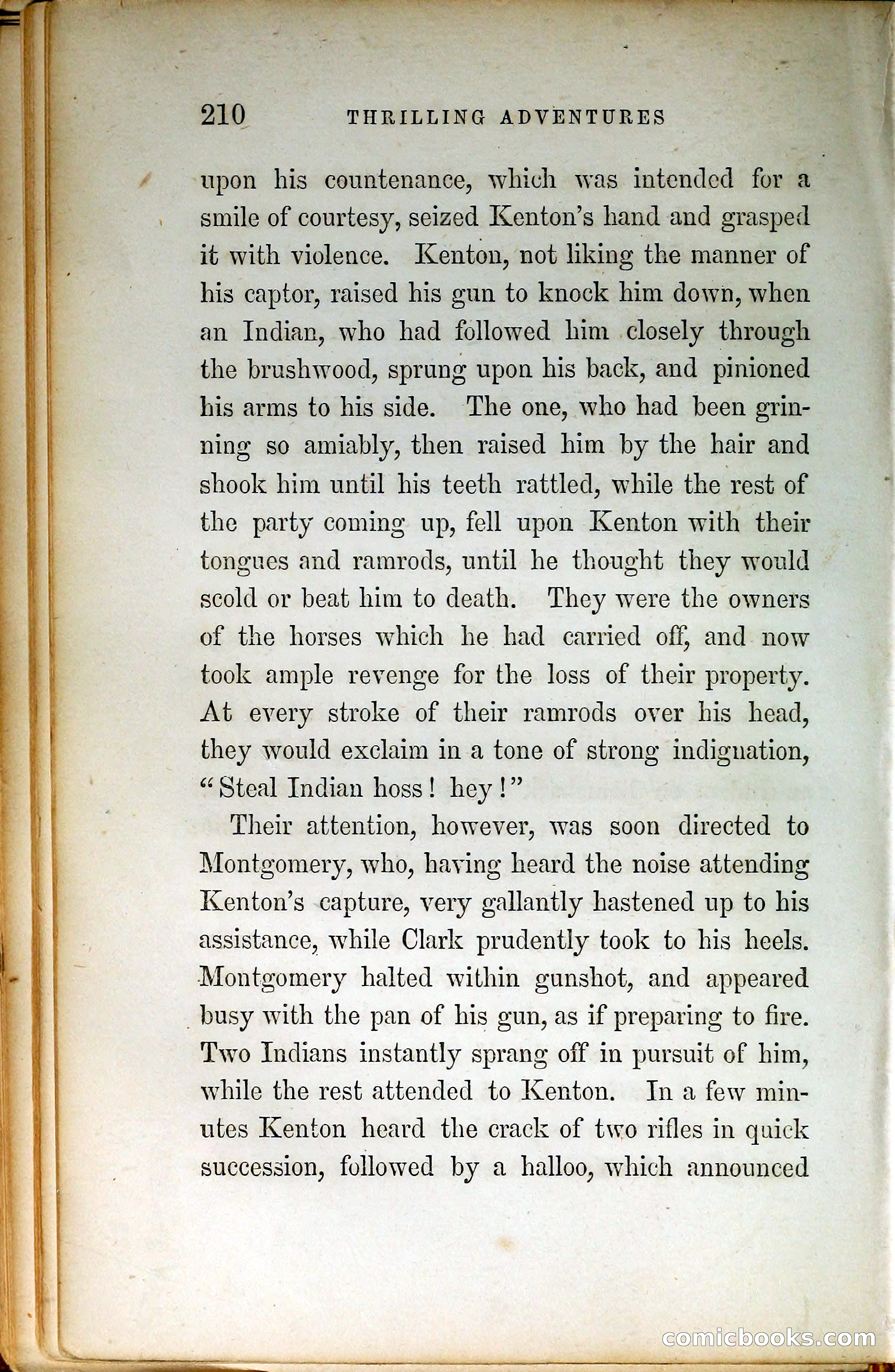 Thrilling Adventures by Land and Sea — page 219 of 399