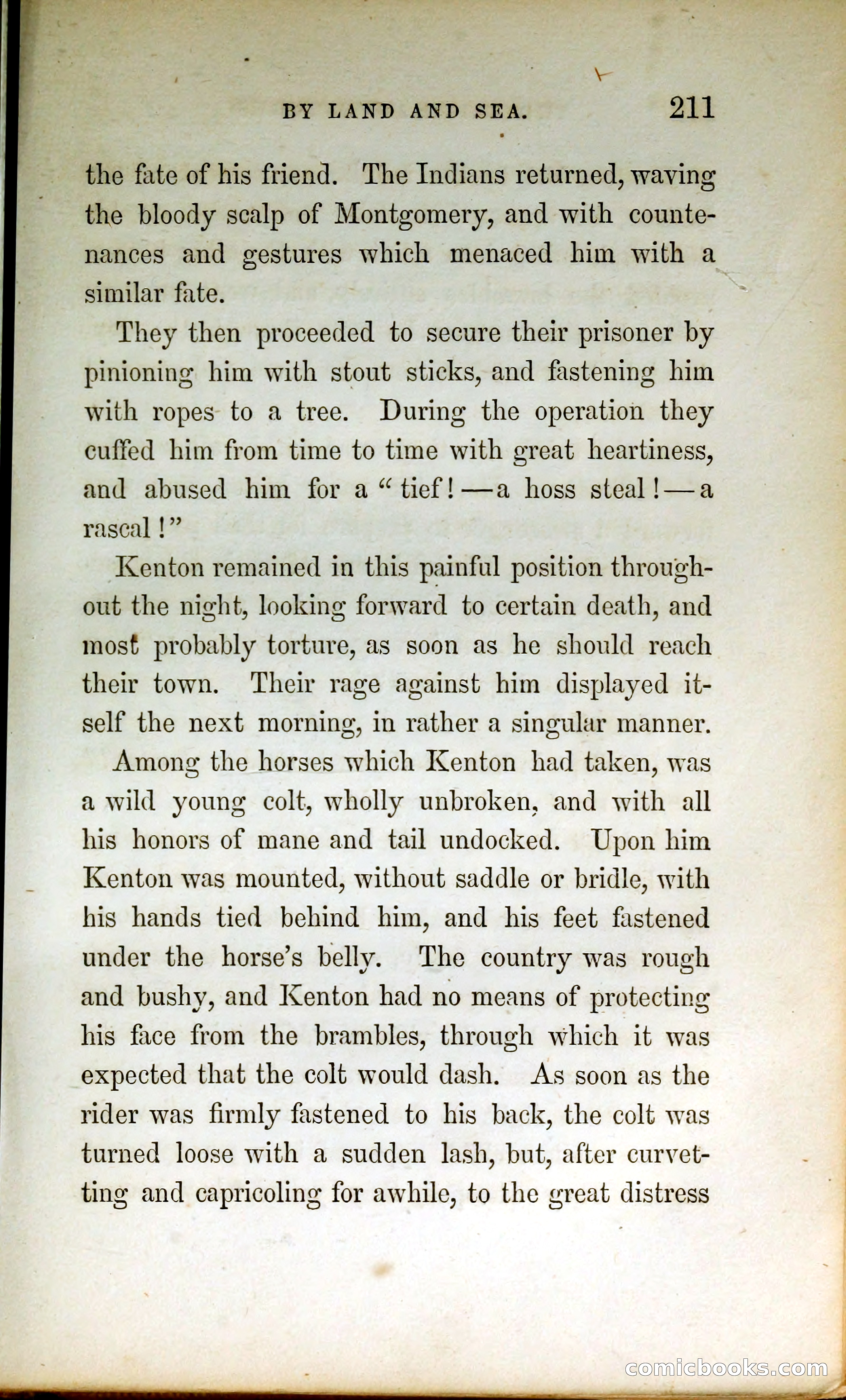 Thrilling Adventures by Land and Sea — page 220 of 399