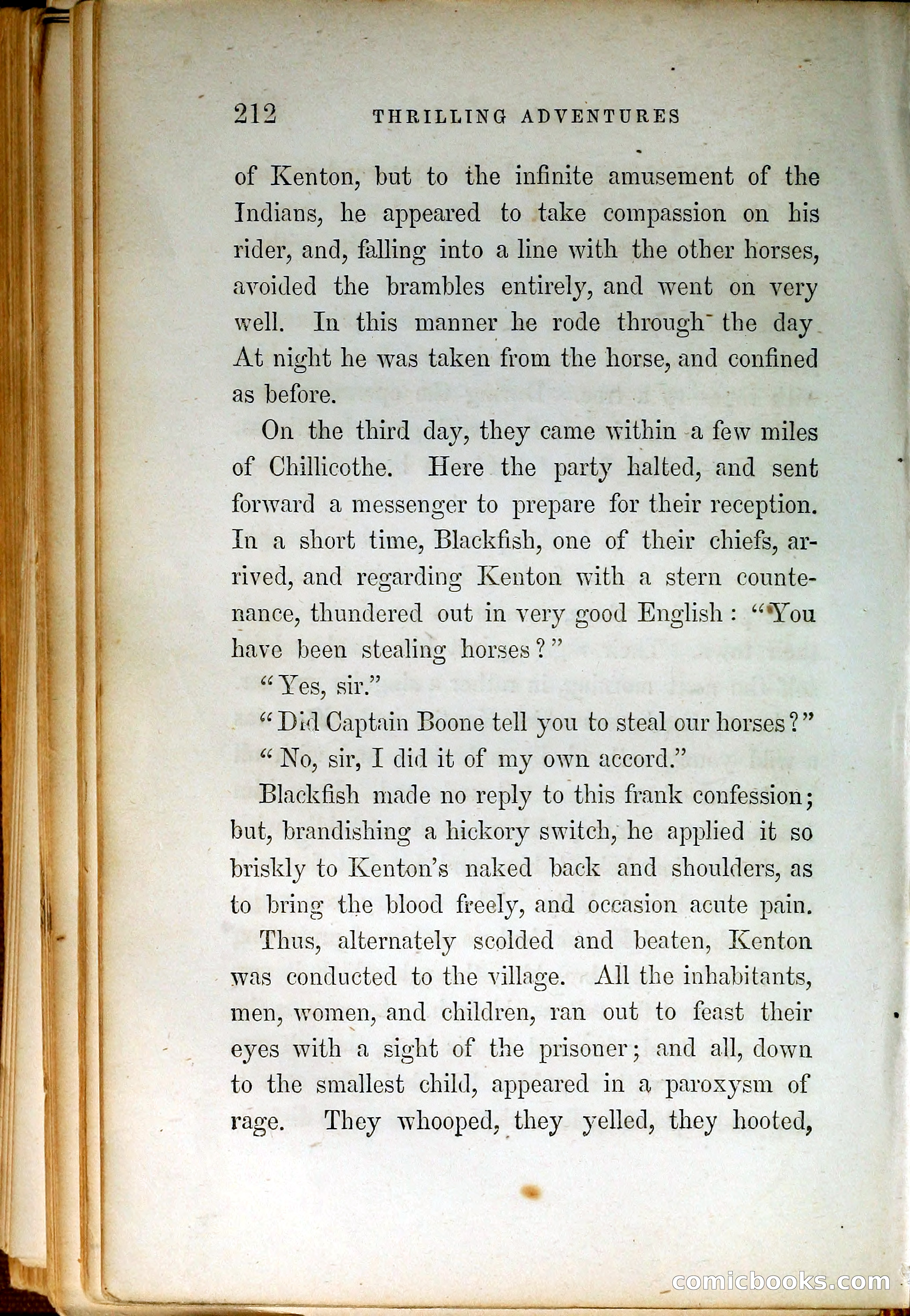 Thrilling Adventures by Land and Sea — page 221 of 399