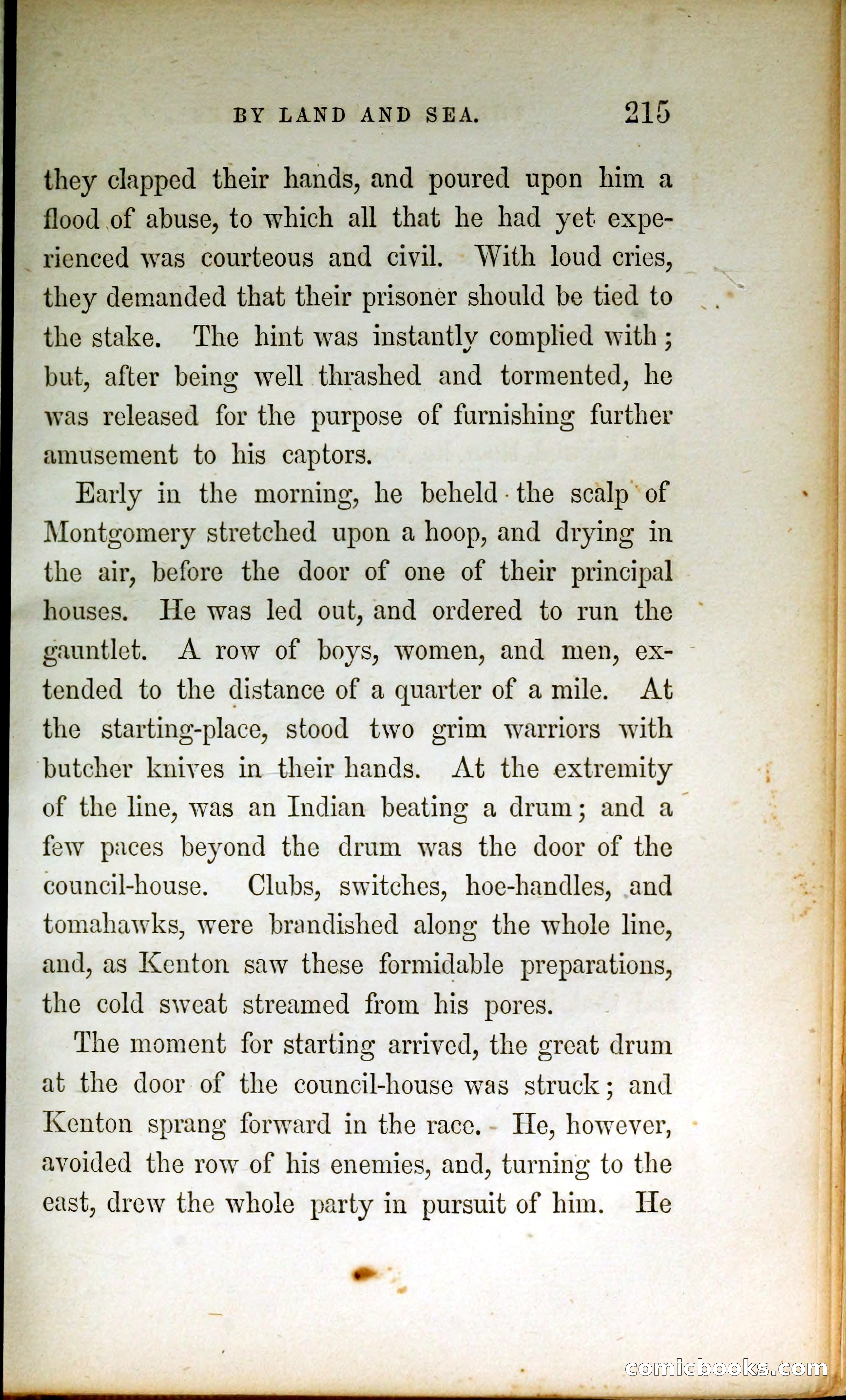 Thrilling Adventures by Land and Sea — page 224 of 399