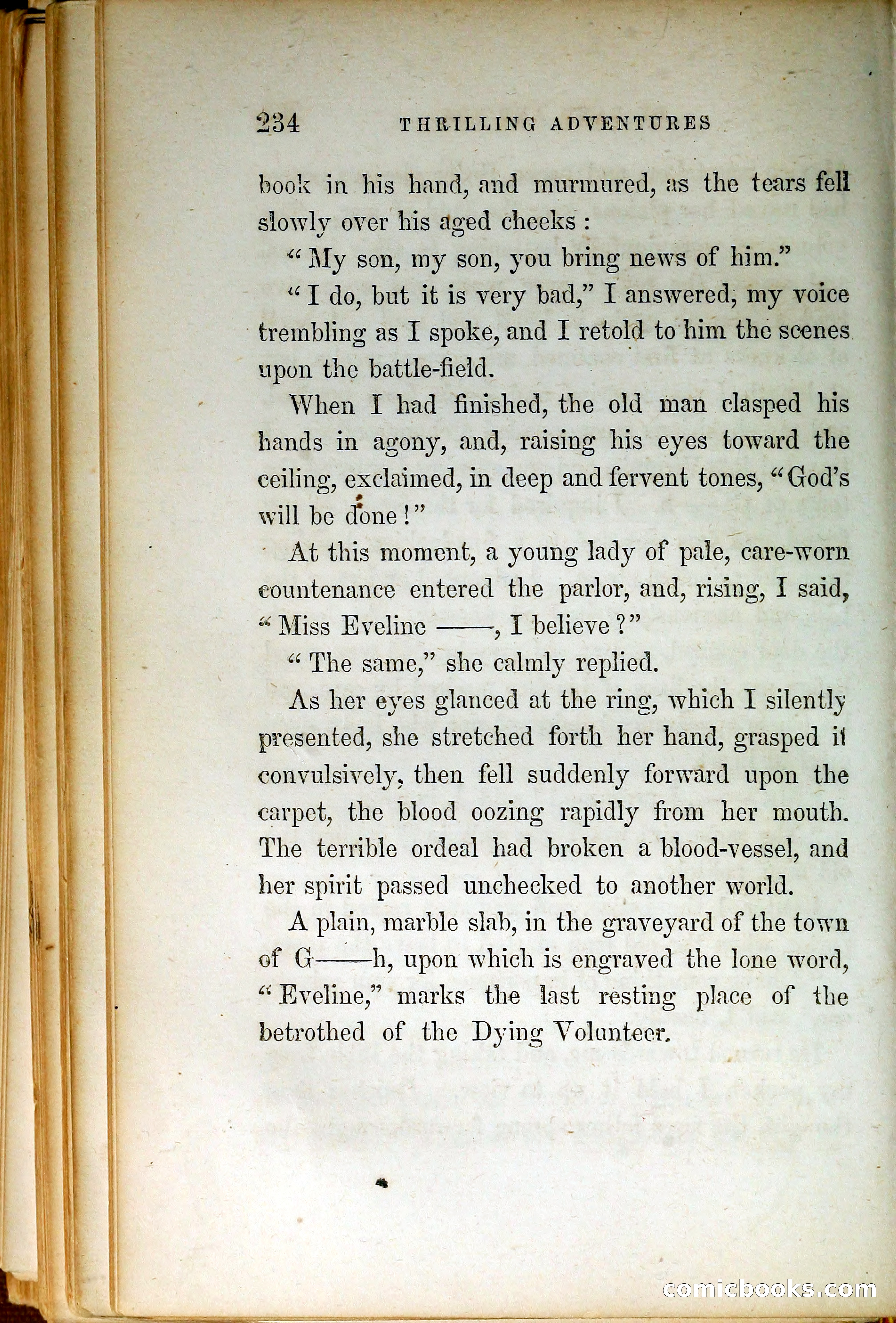 Thrilling Adventures by Land and Sea — page 243 of 399
