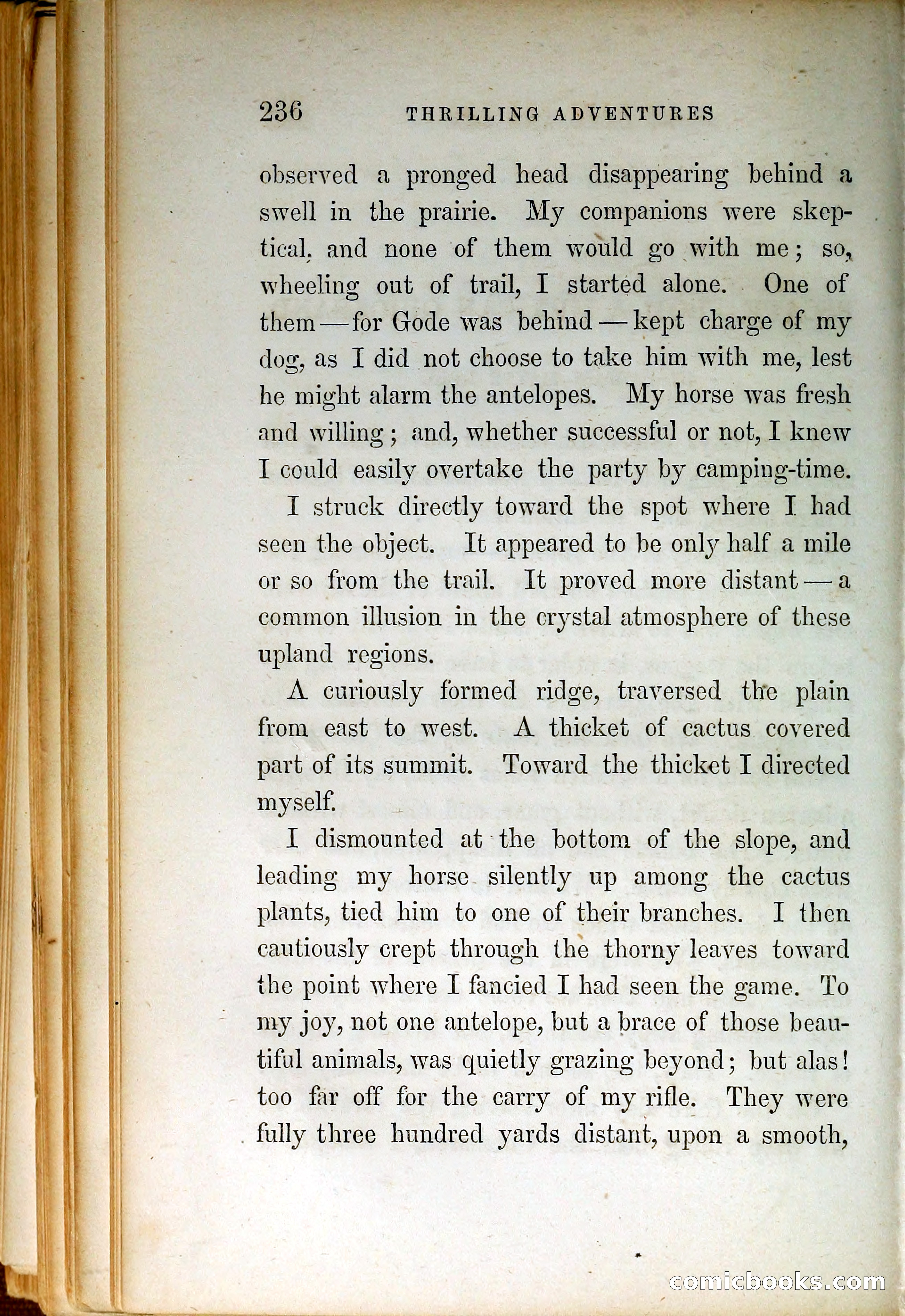 Thrilling Adventures by Land and Sea — page 245 of 399