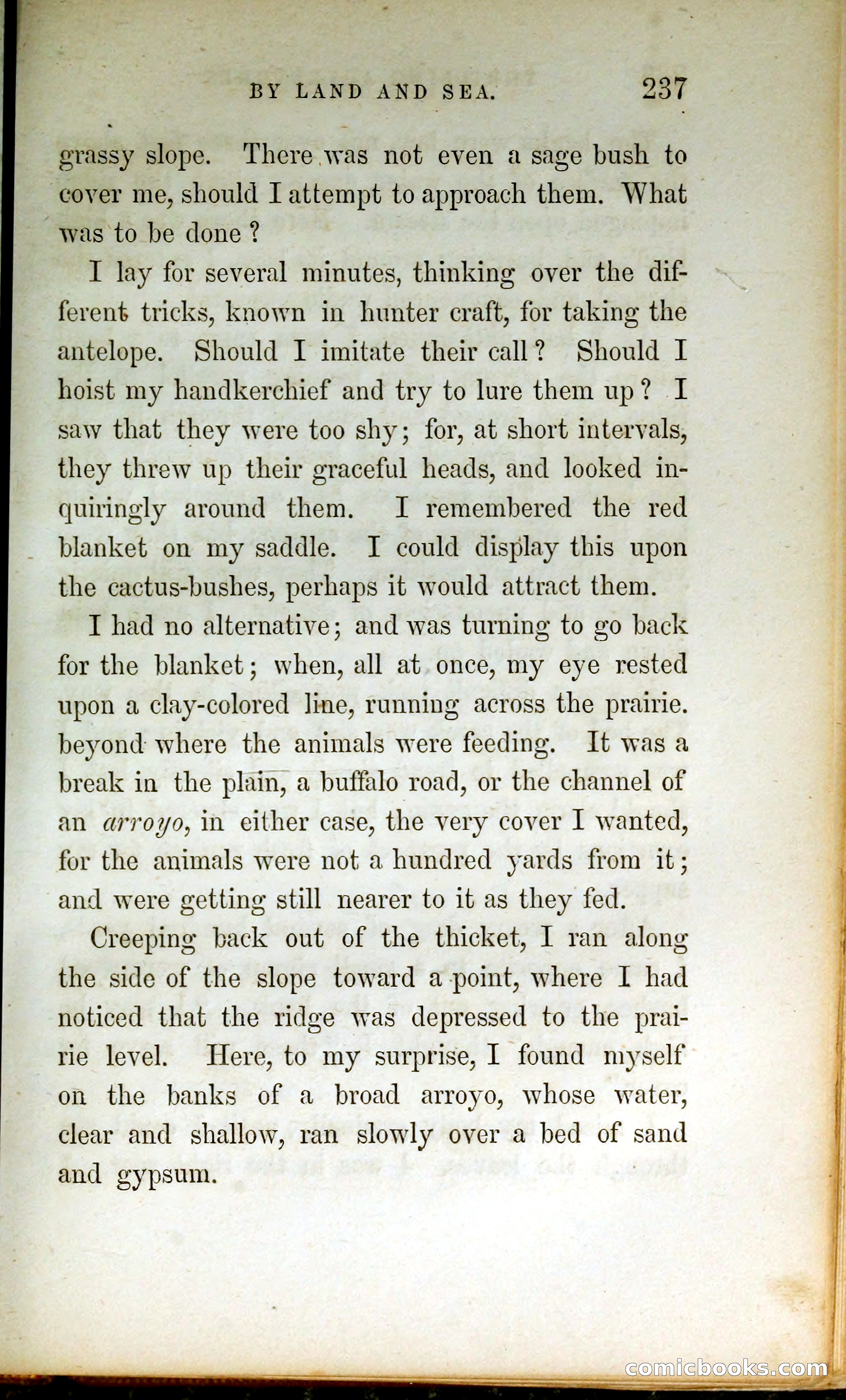 Thrilling Adventures by Land and Sea — page 246 of 399