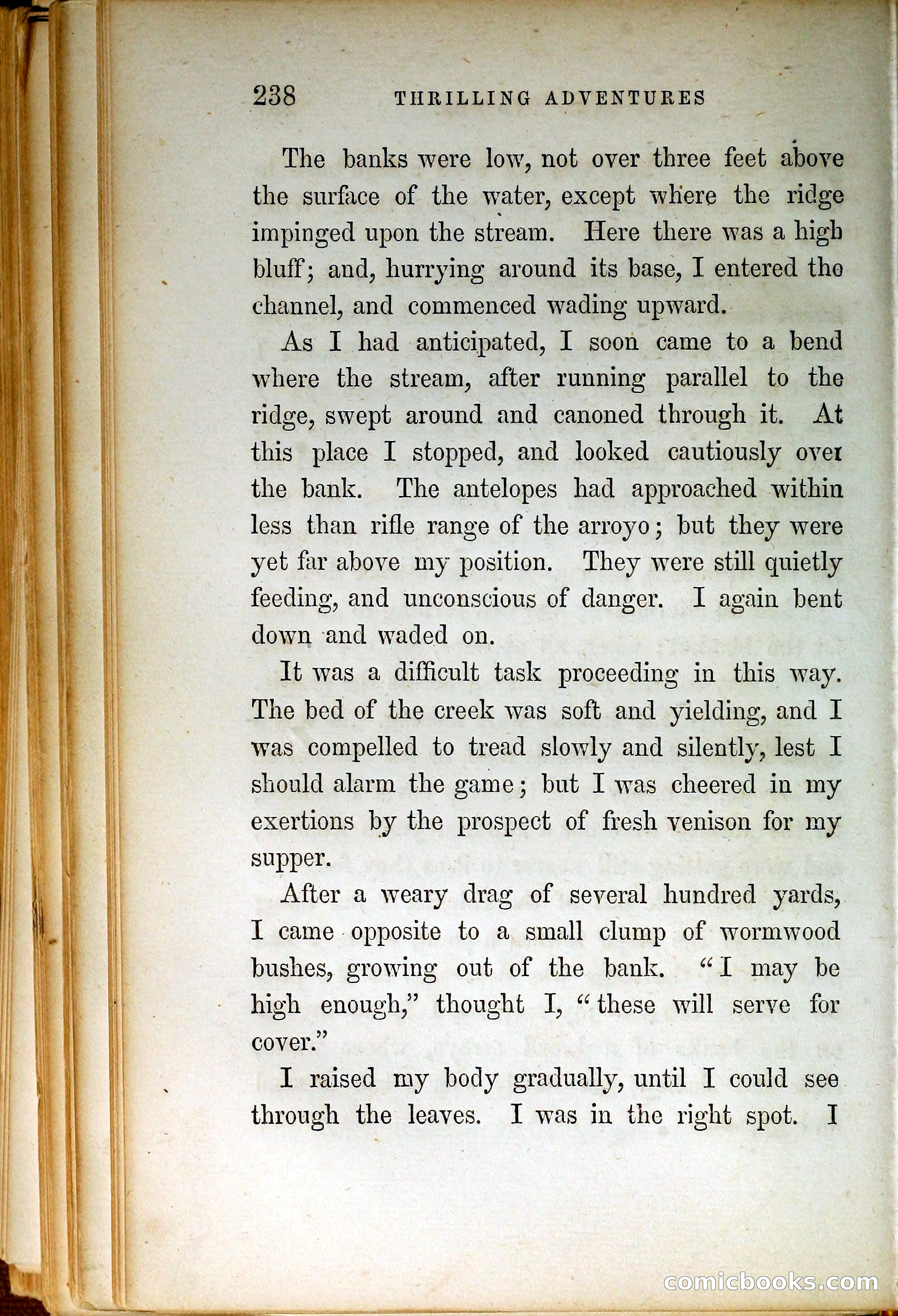 Thrilling Adventures by Land and Sea — page 247 of 399
