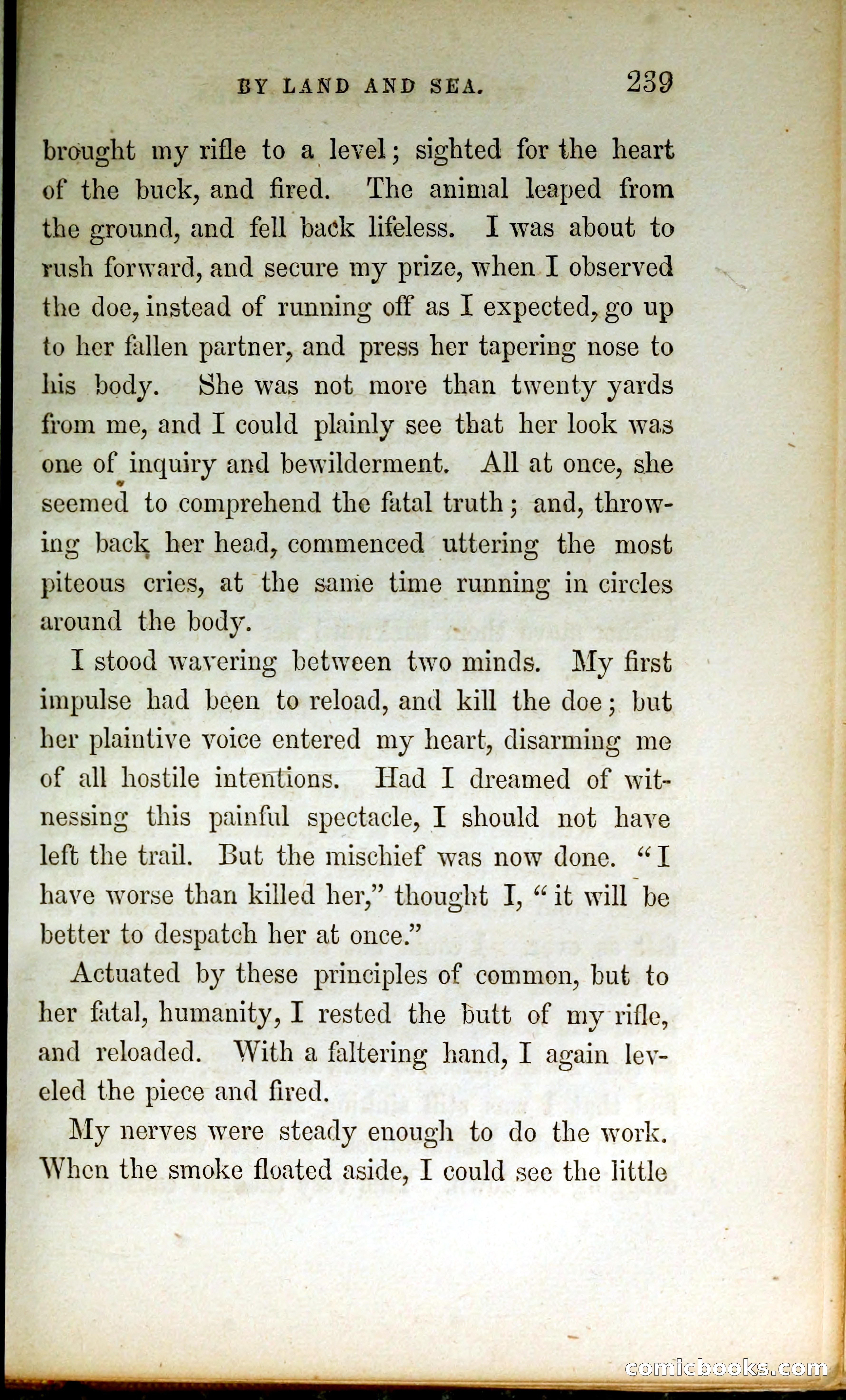 Thrilling Adventures by Land and Sea — page 248 of 399