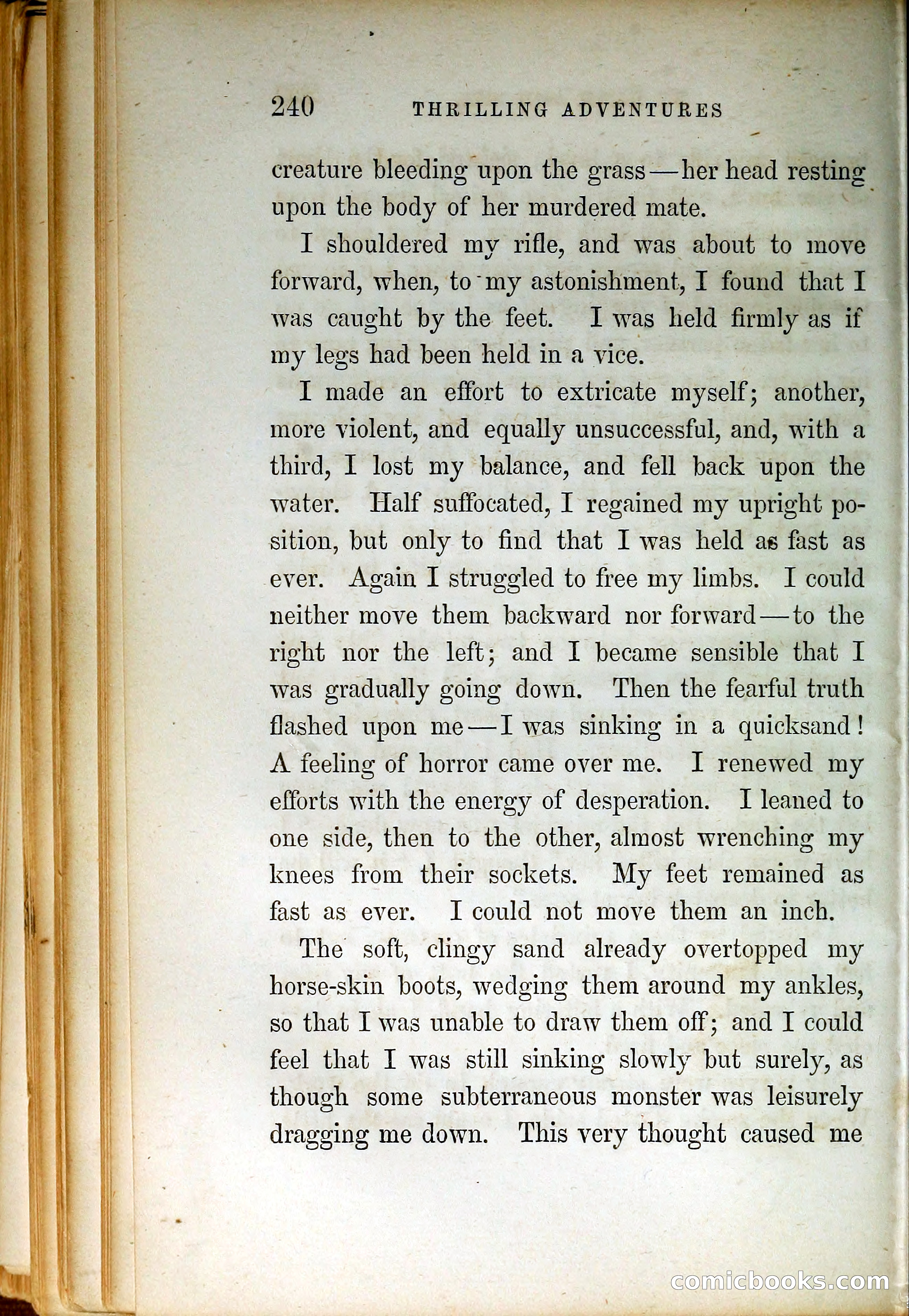Thrilling Adventures by Land and Sea — page 249 of 399