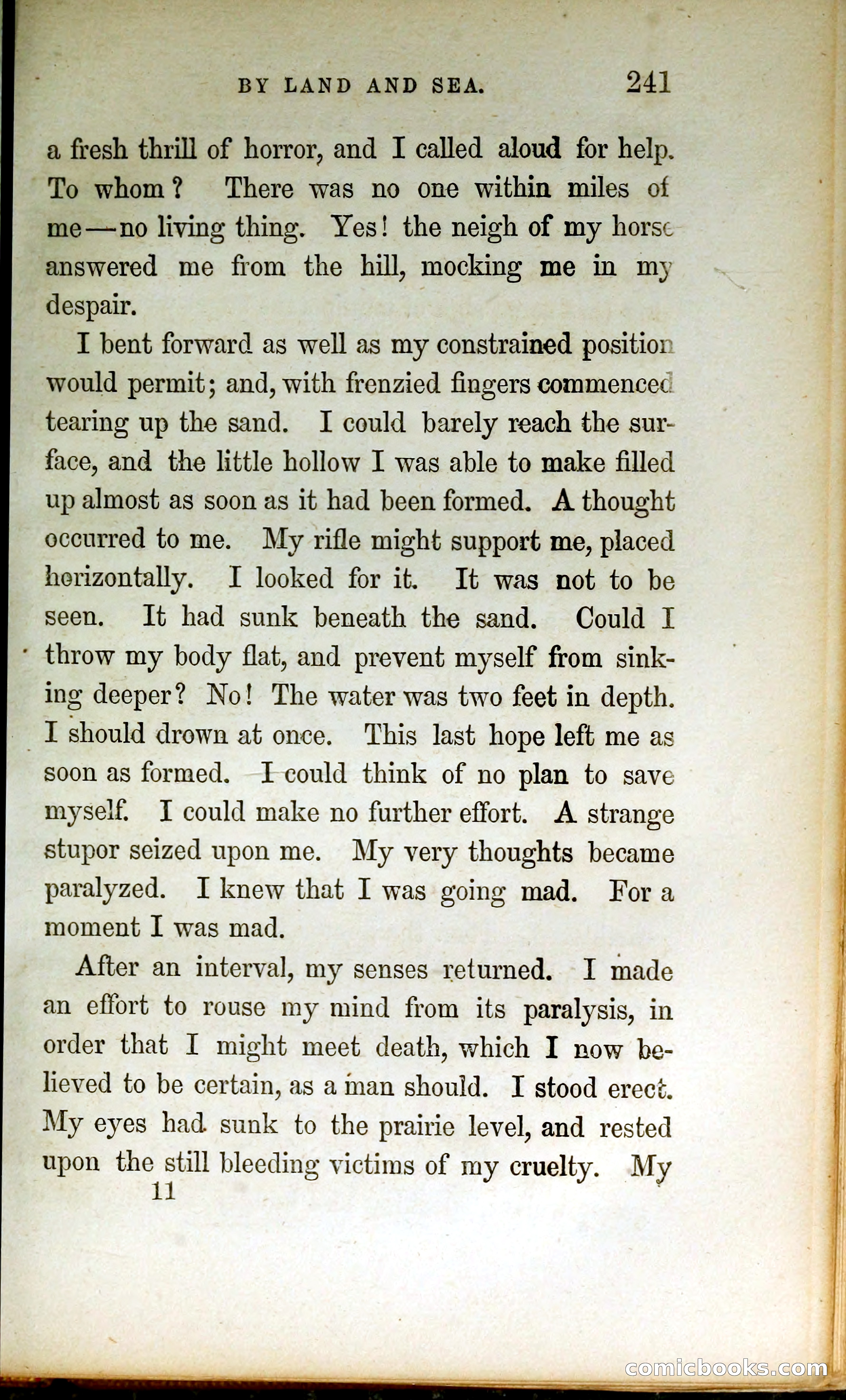Thrilling Adventures by Land and Sea — page 250 of 399