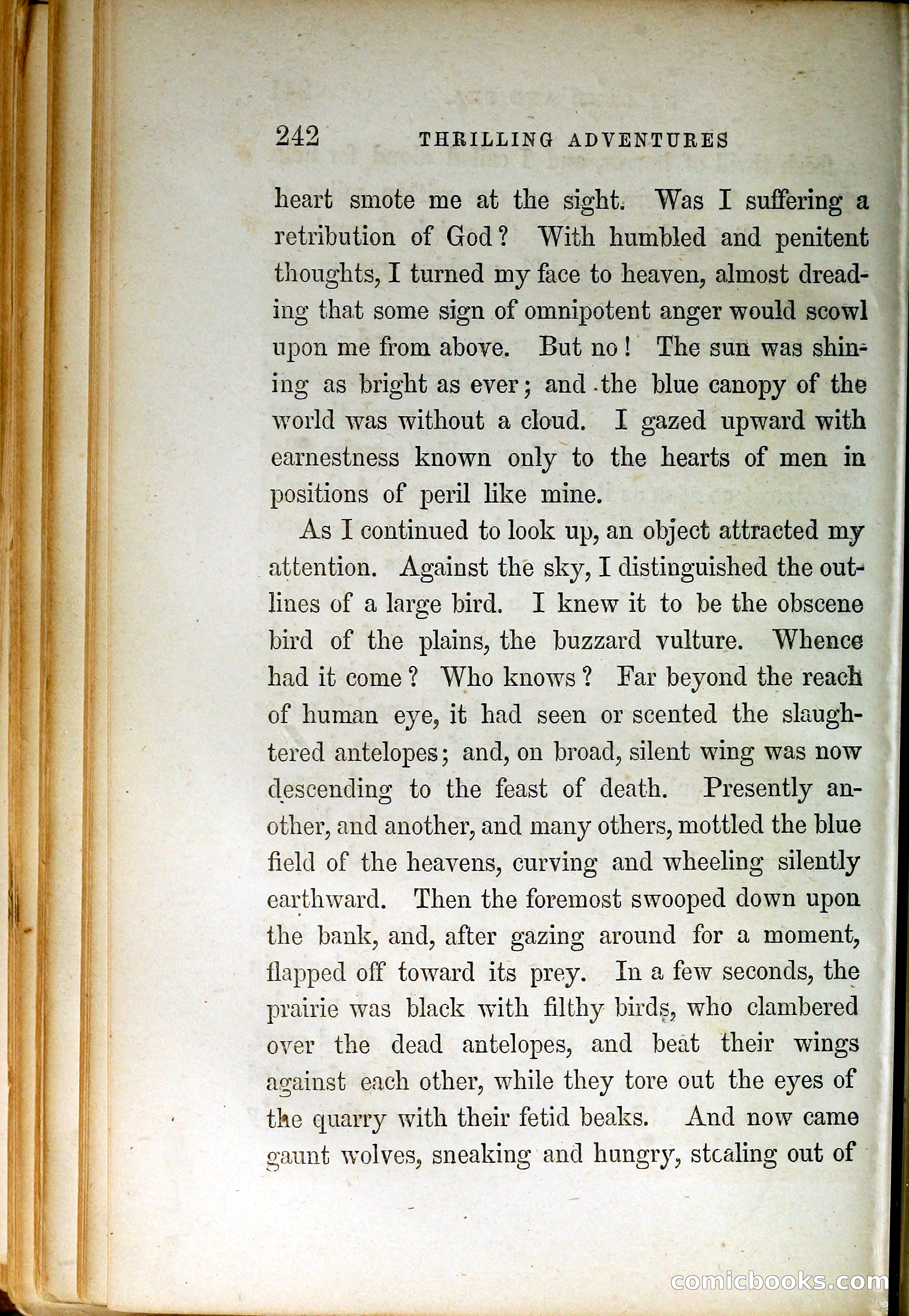 Thrilling Adventures by Land and Sea — page 251 of 399