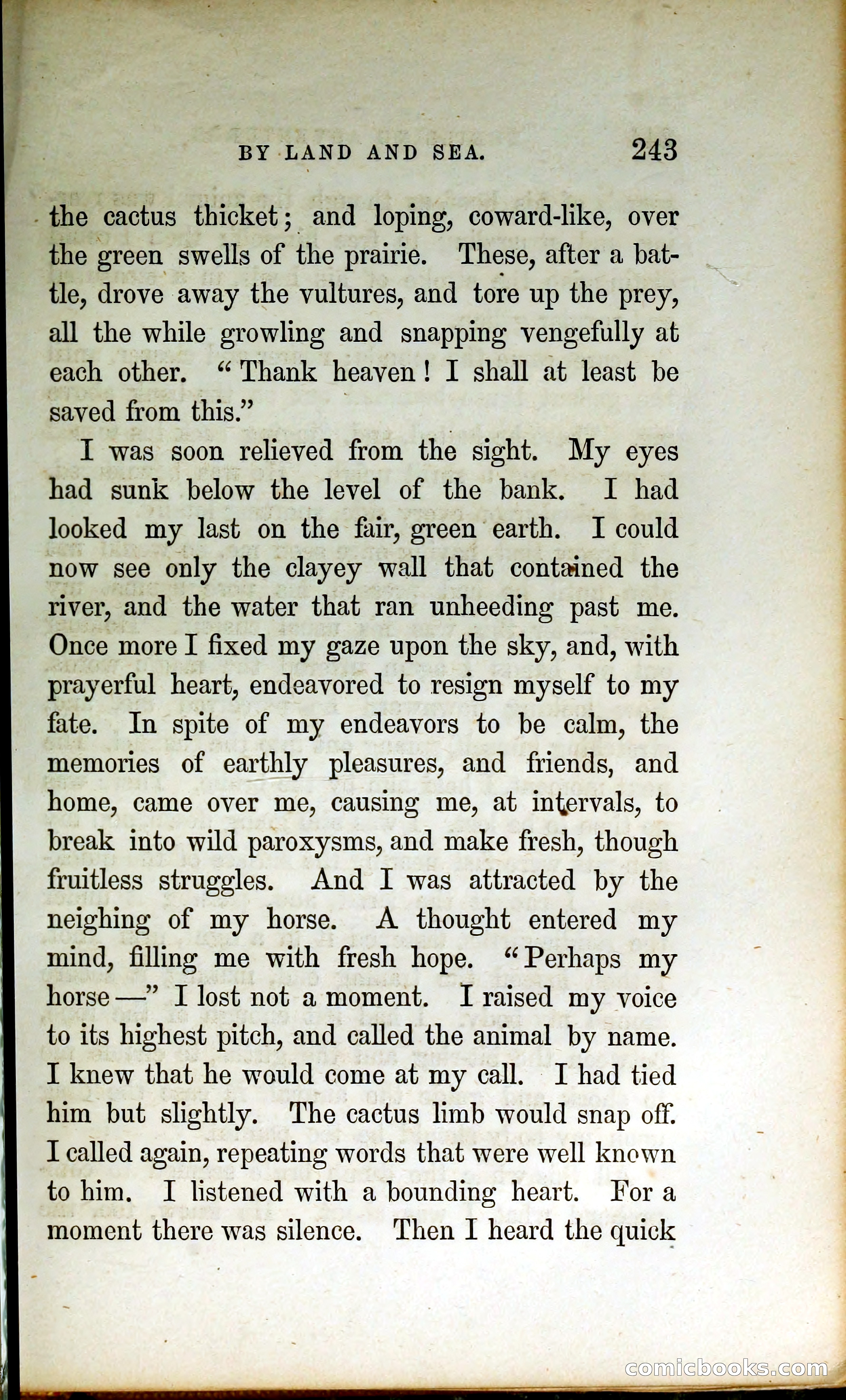Thrilling Adventures by Land and Sea — page 252 of 399