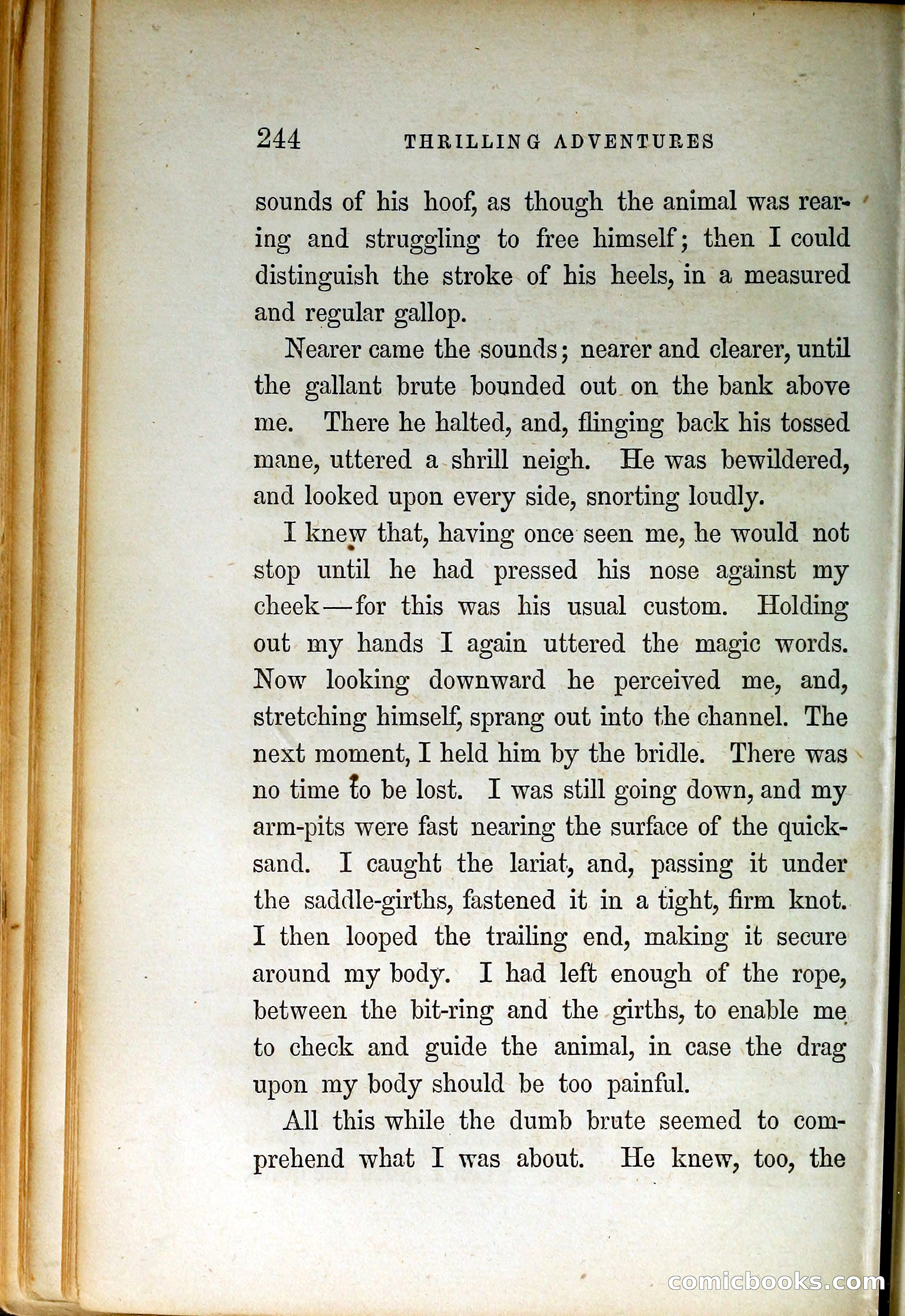 Thrilling Adventures by Land and Sea — page 253 of 399