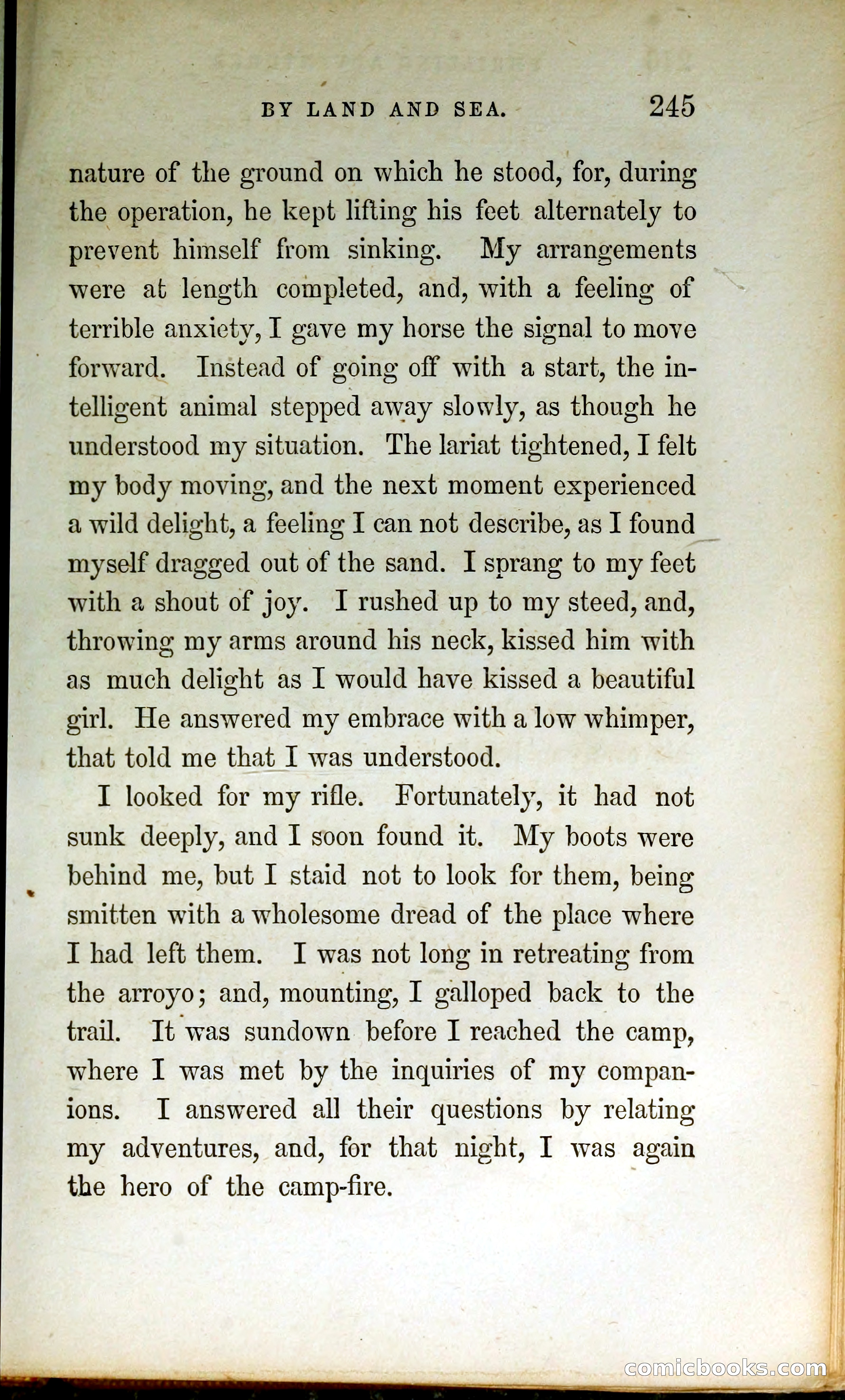 Thrilling Adventures by Land and Sea — page 254 of 399