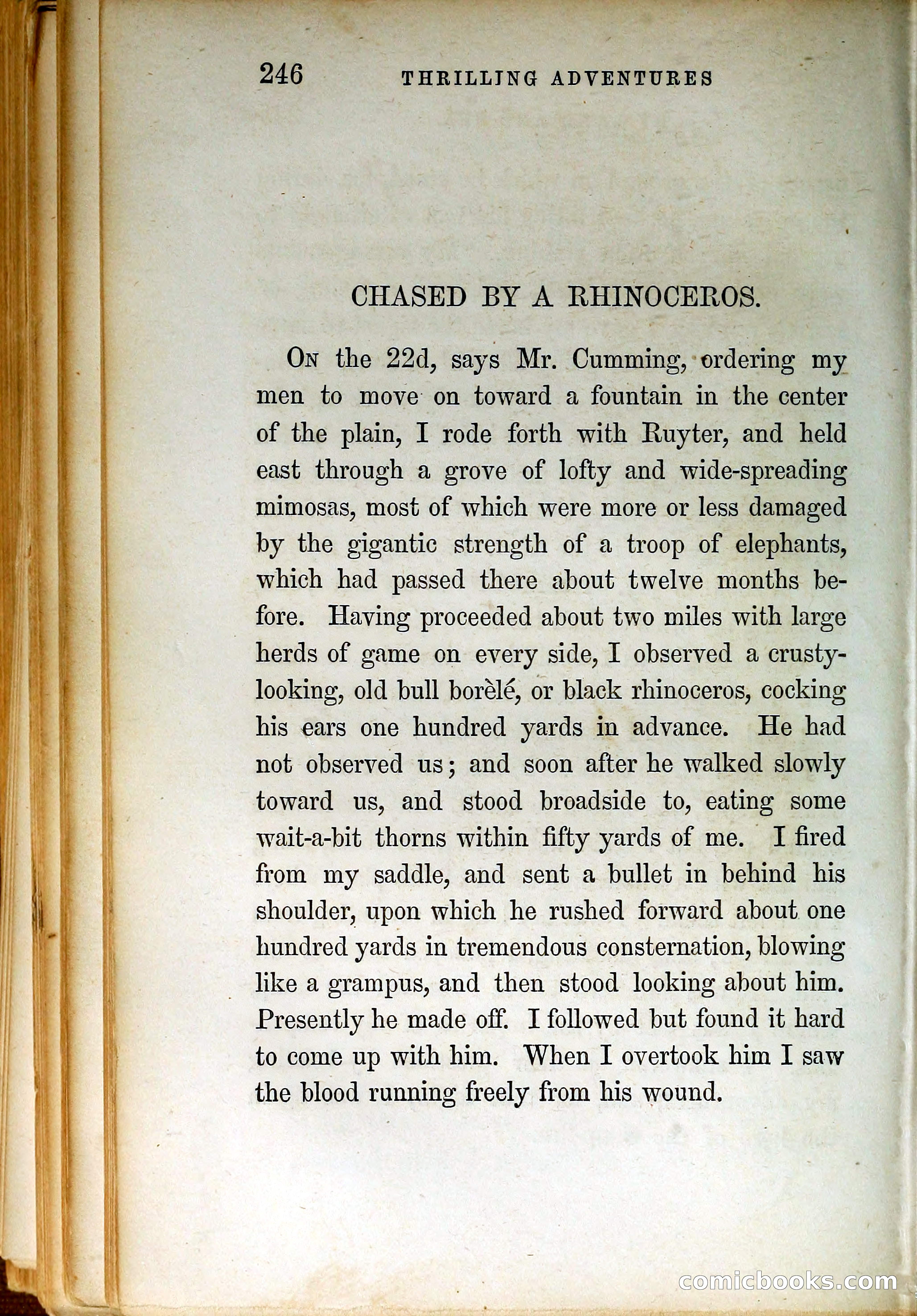 Thrilling Adventures by Land and Sea — page 255 of 399