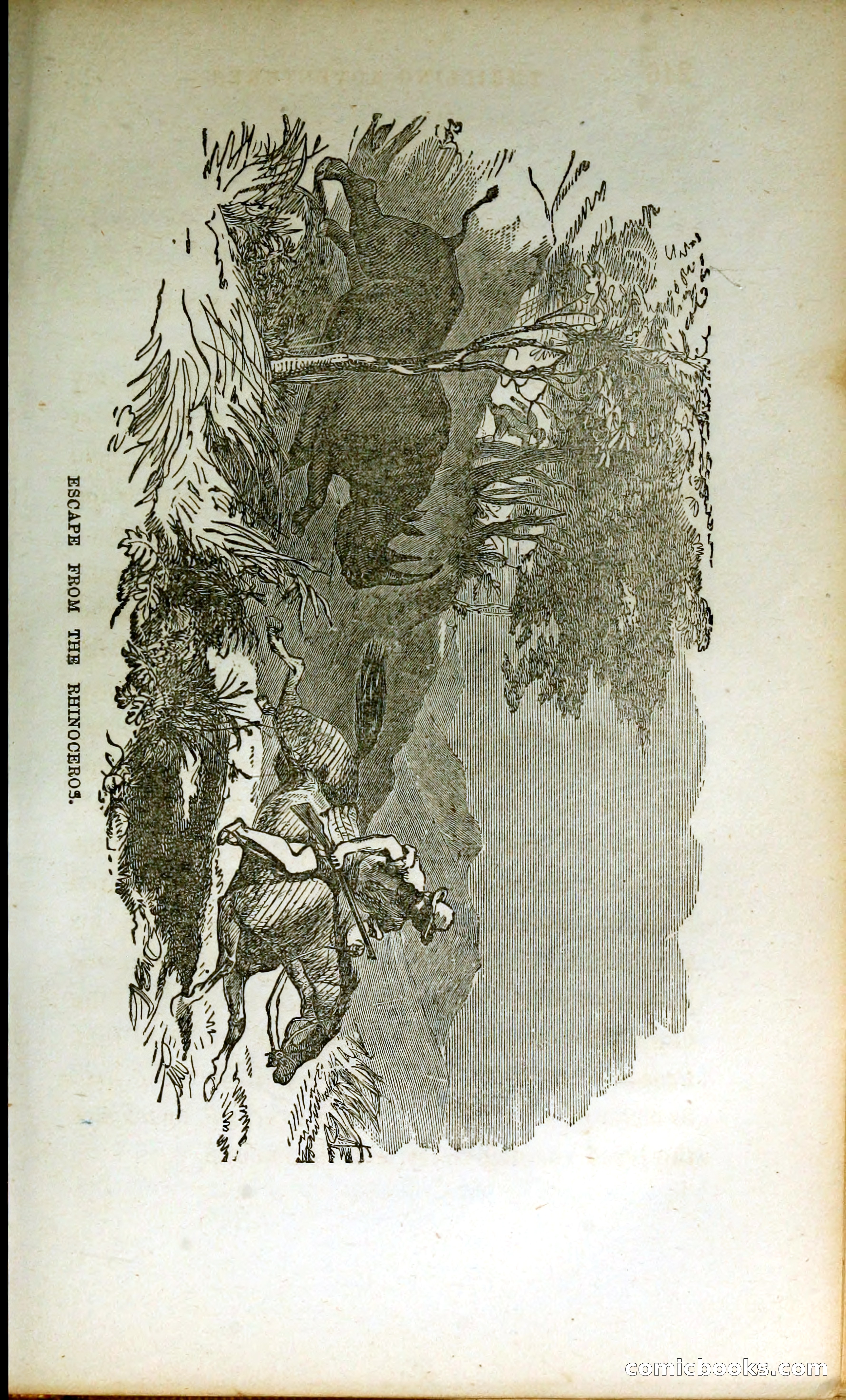 Thrilling Adventures by Land and Sea — page 256 of 399