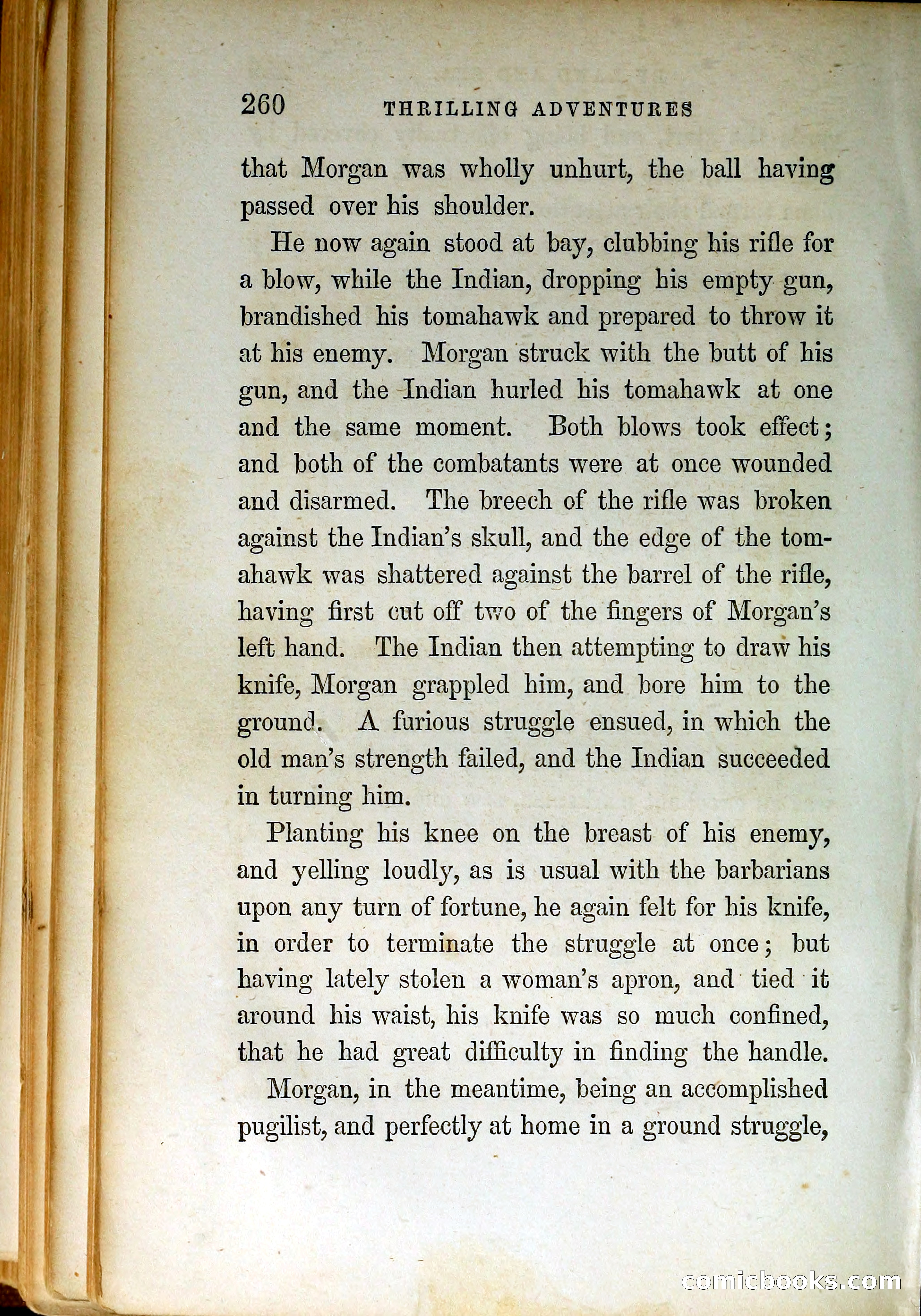Thrilling Adventures by Land and Sea — page 269 of 399