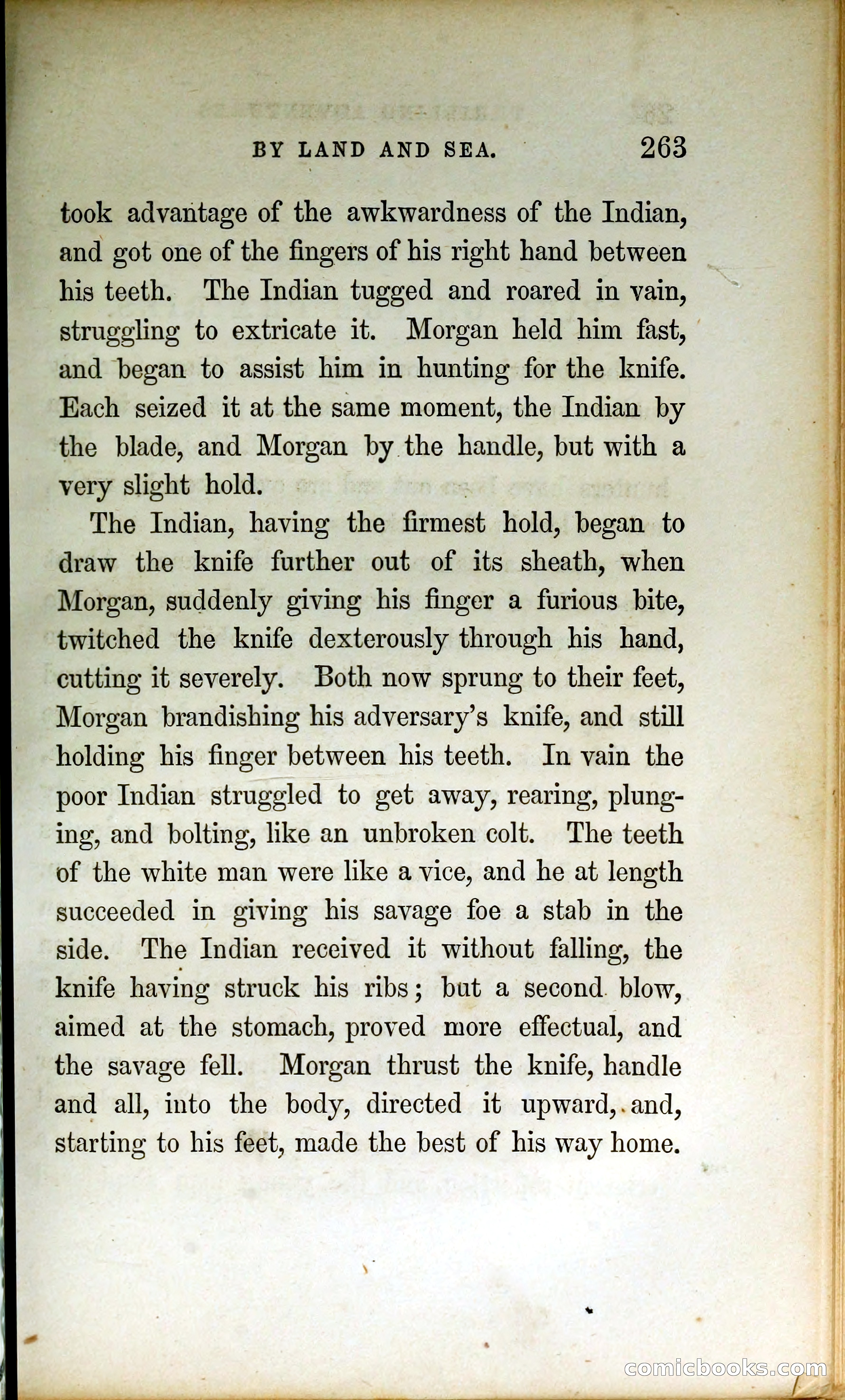 Thrilling Adventures by Land and Sea — page 272 of 399