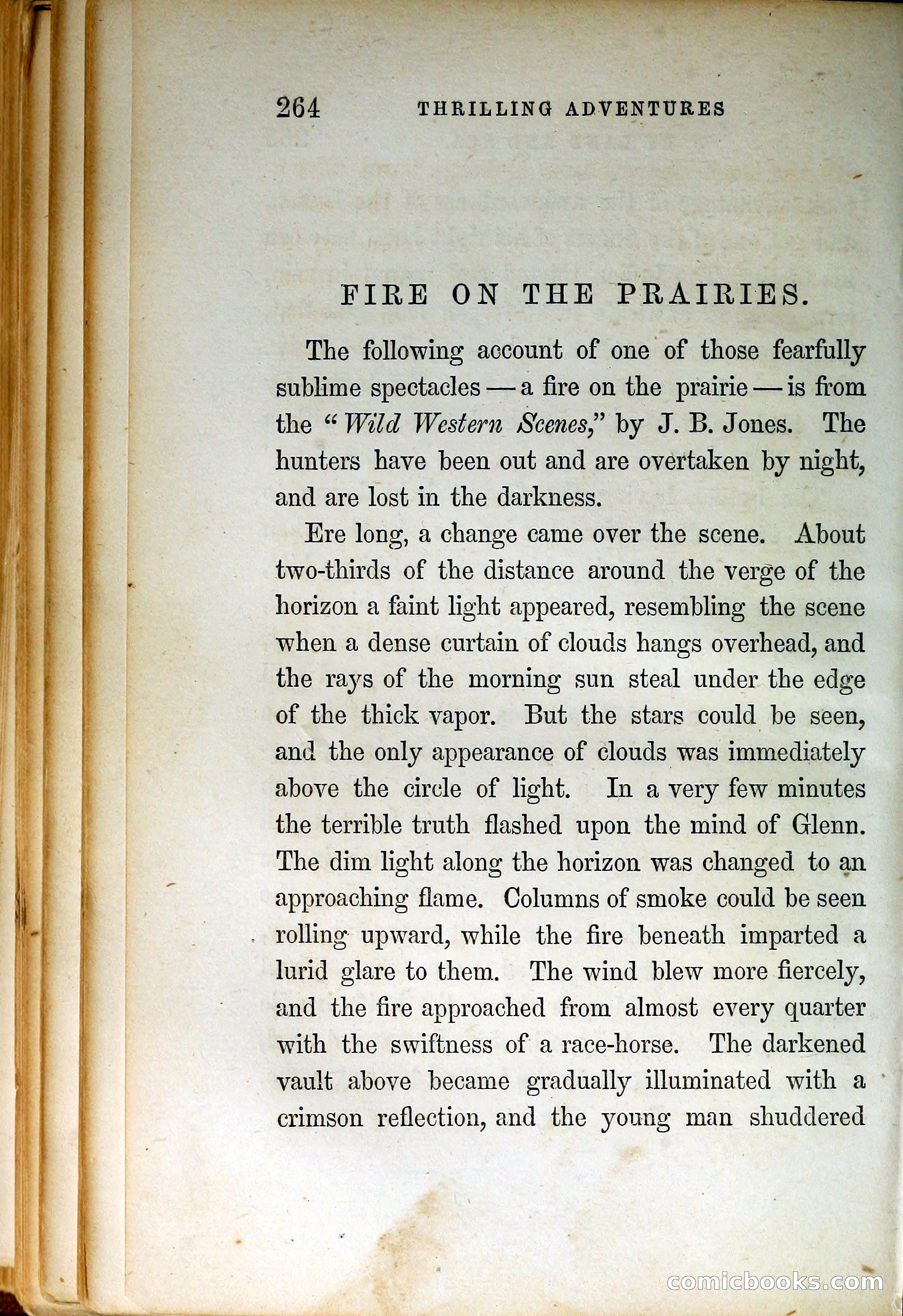 Thrilling Adventures by Land and Sea — page 273 of 399