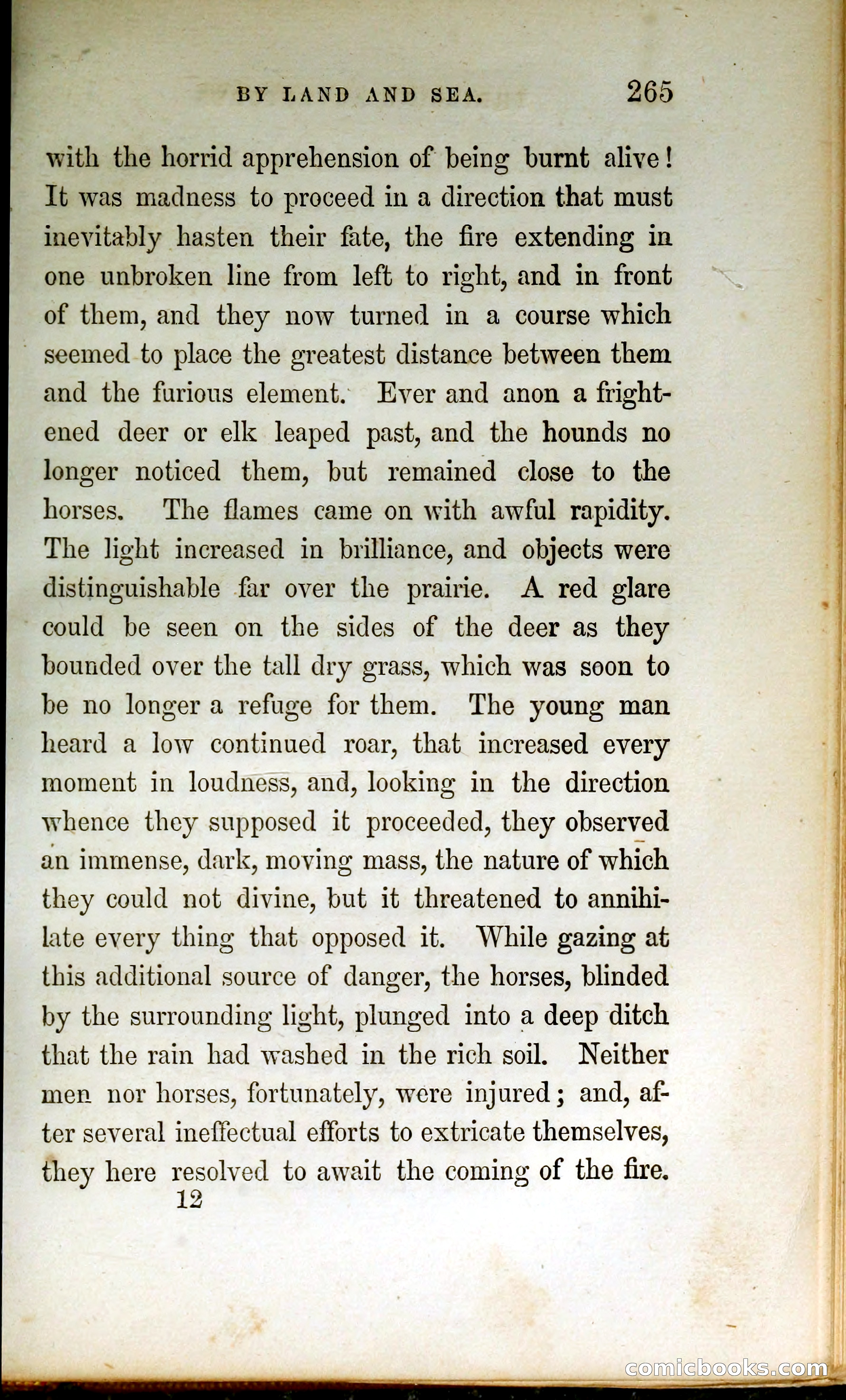 Thrilling Adventures by Land and Sea — page 274 of 399