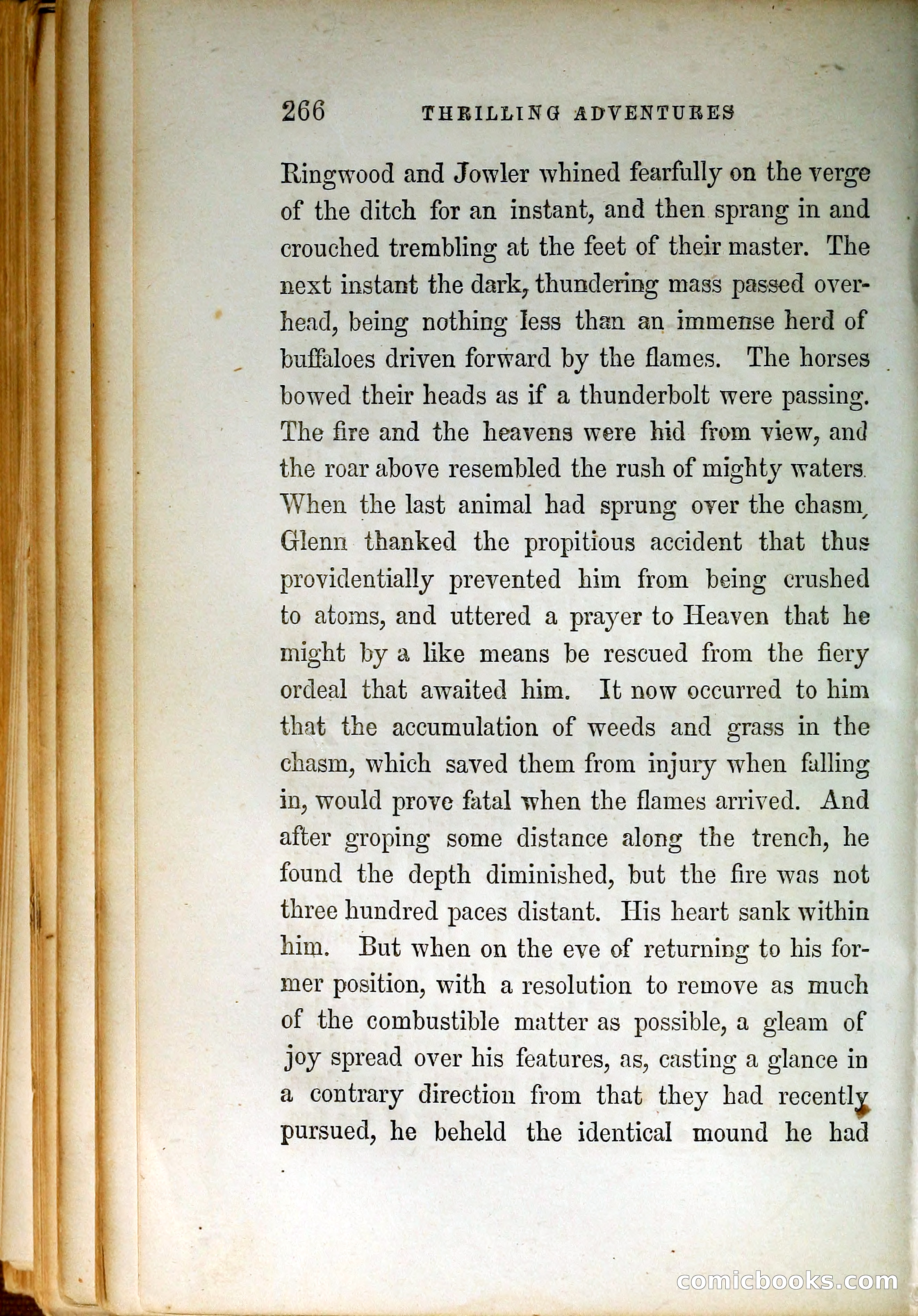 Thrilling Adventures by Land and Sea — page 275 of 399