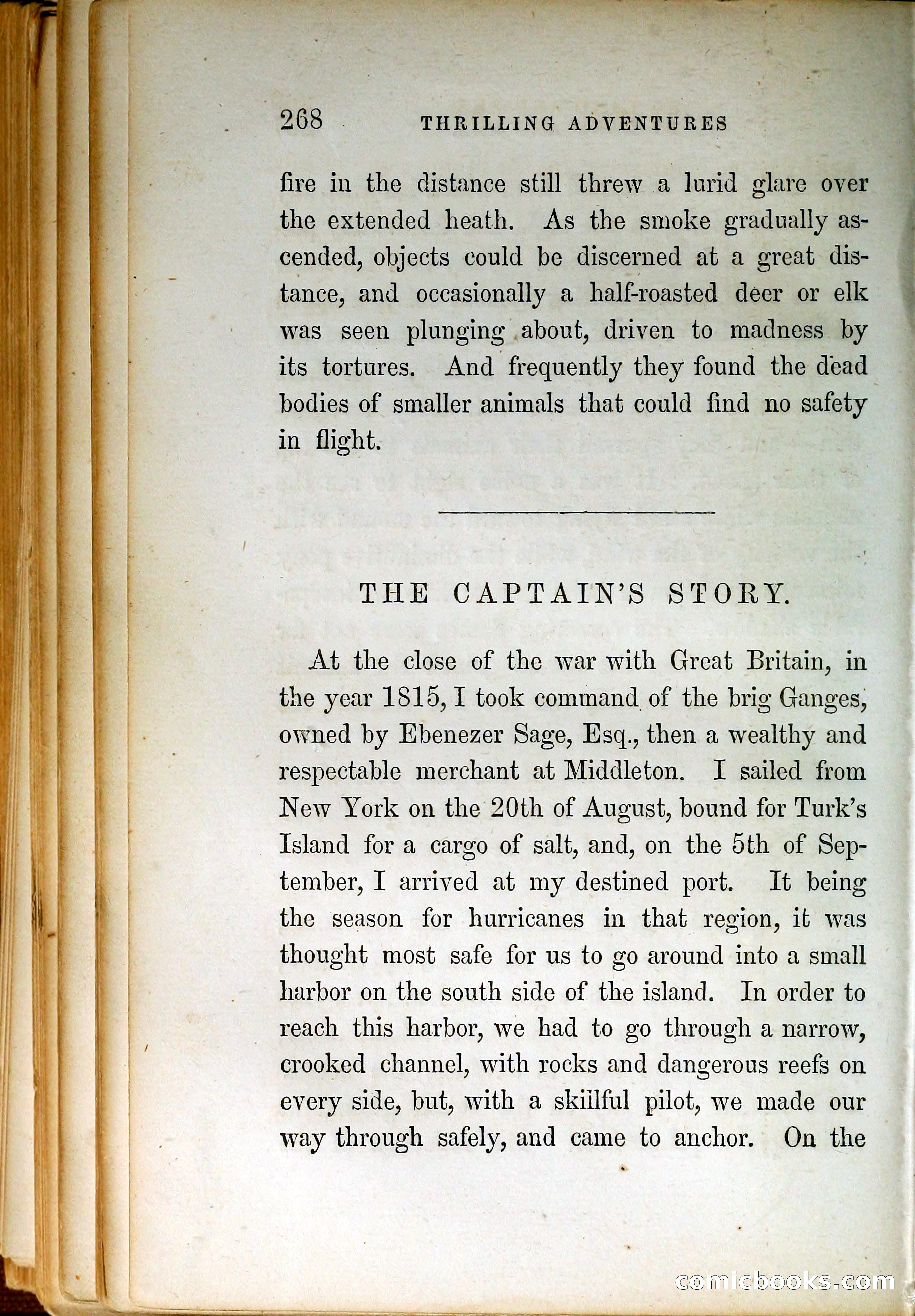 Thrilling Adventures by Land and Sea — page 277 of 399