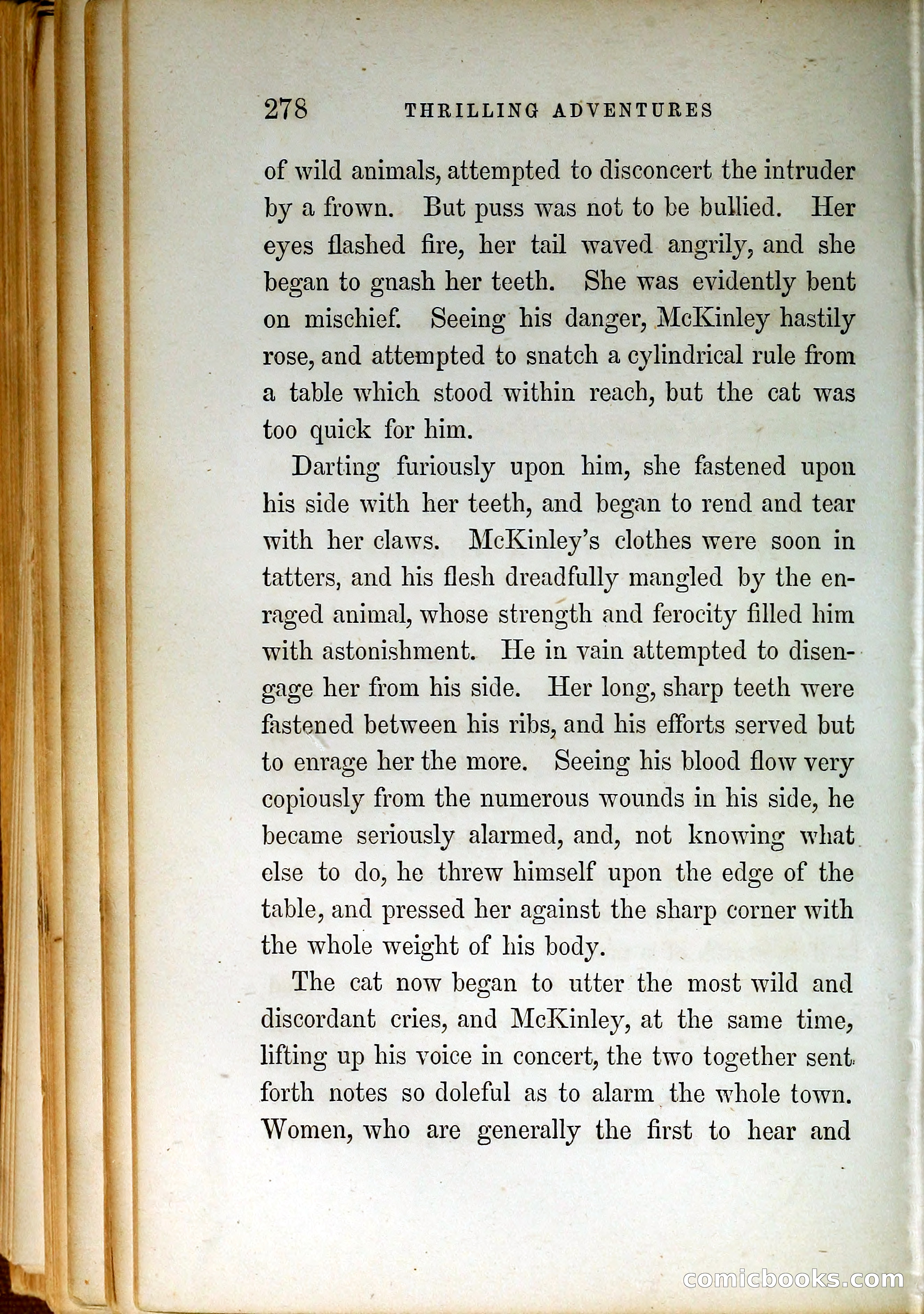 Thrilling Adventures by Land and Sea — page 287 of 399