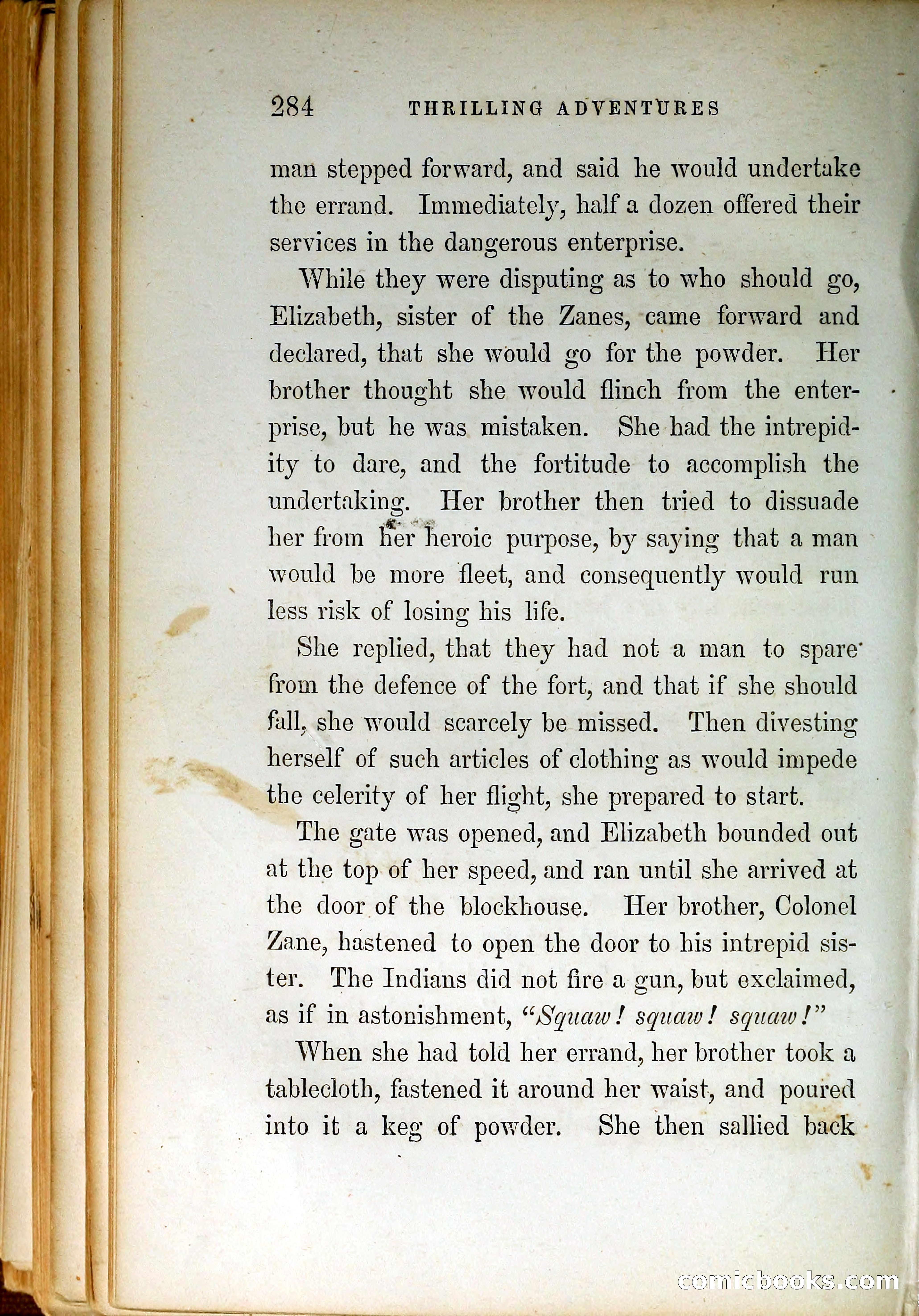 Thrilling Adventures by Land and Sea — page 293 of 399