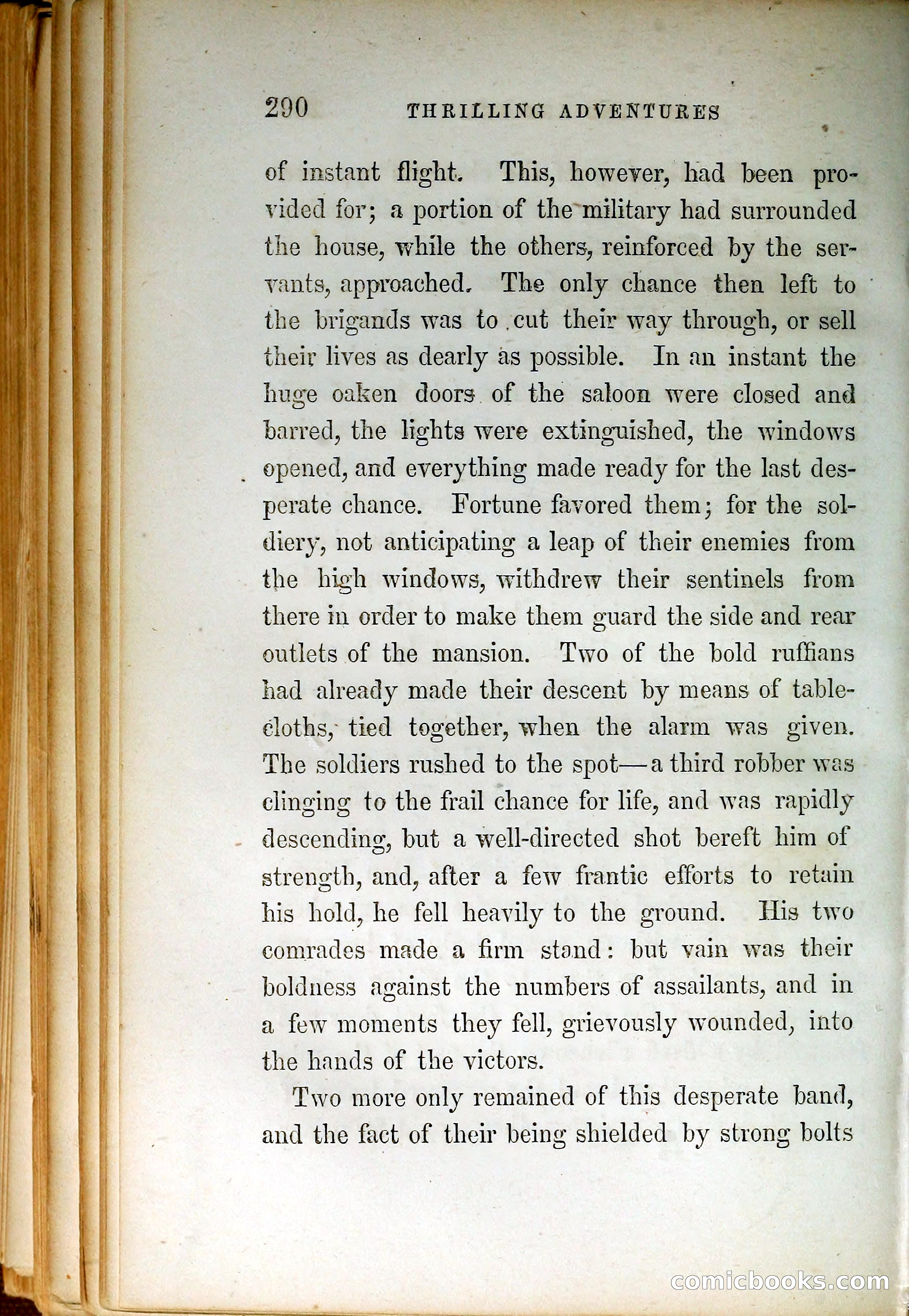 Thrilling Adventures by Land and Sea — page 299 of 399
