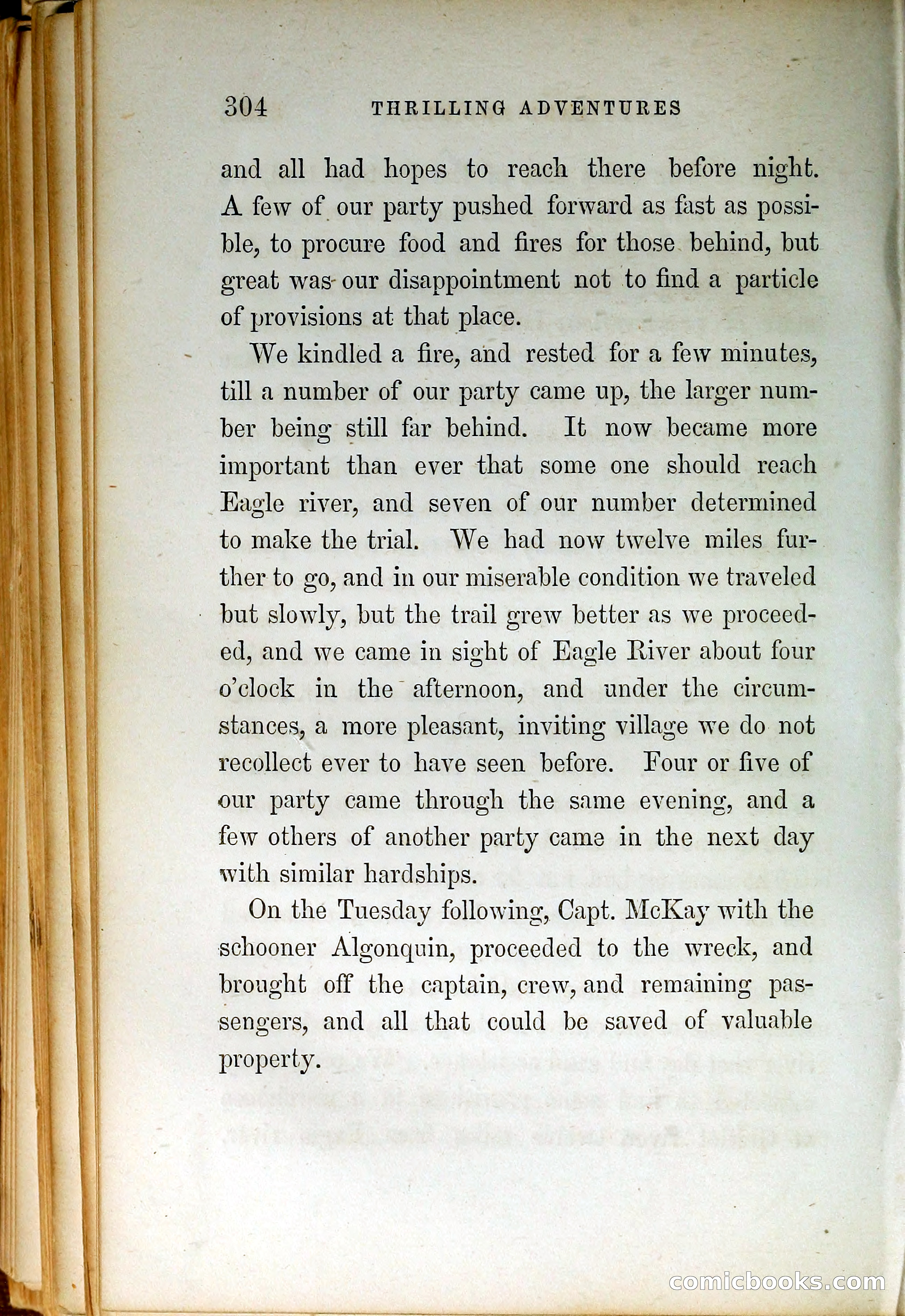 Thrilling Adventures by Land and Sea — page 313 of 399