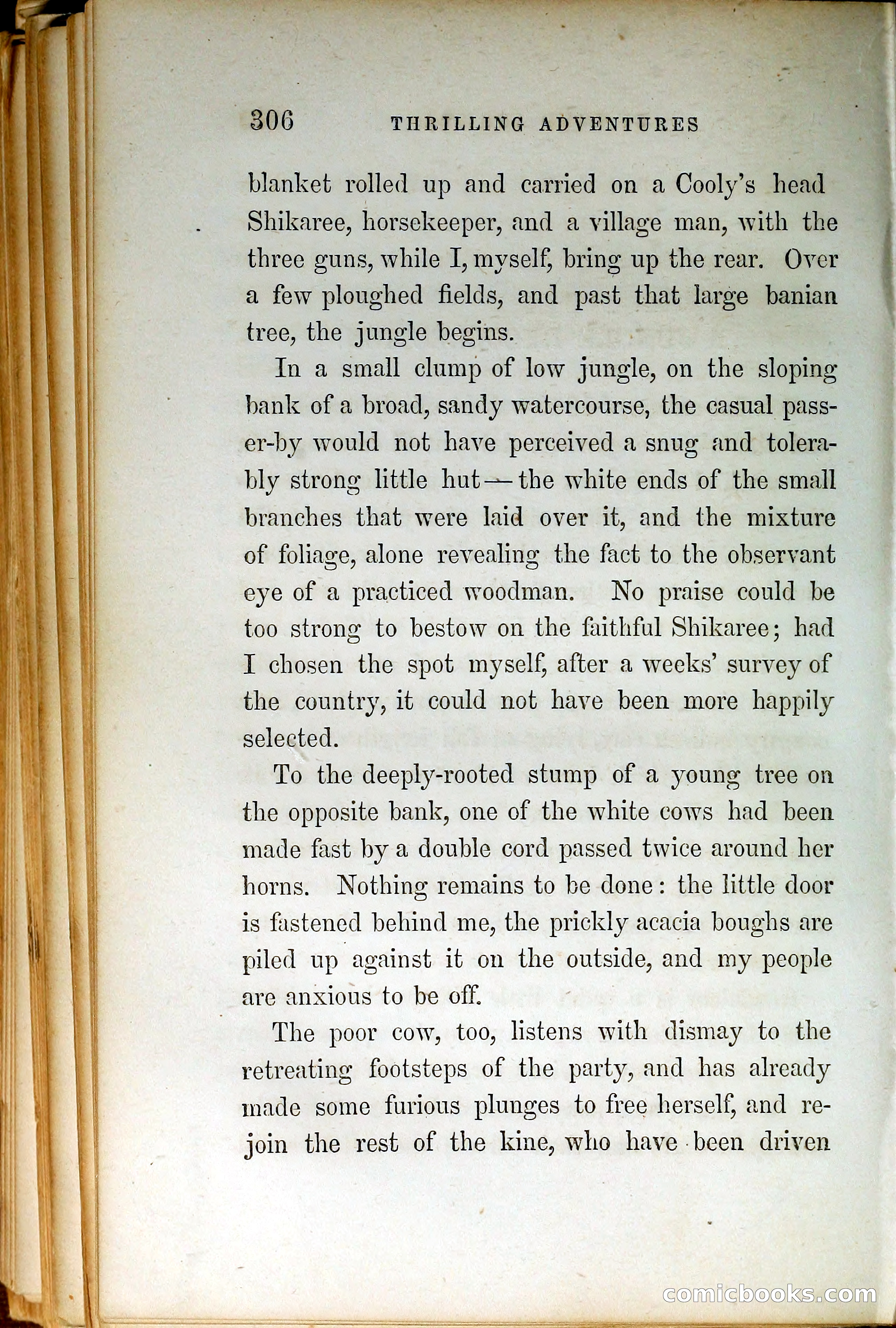 Thrilling Adventures by Land and Sea — page 315 of 399