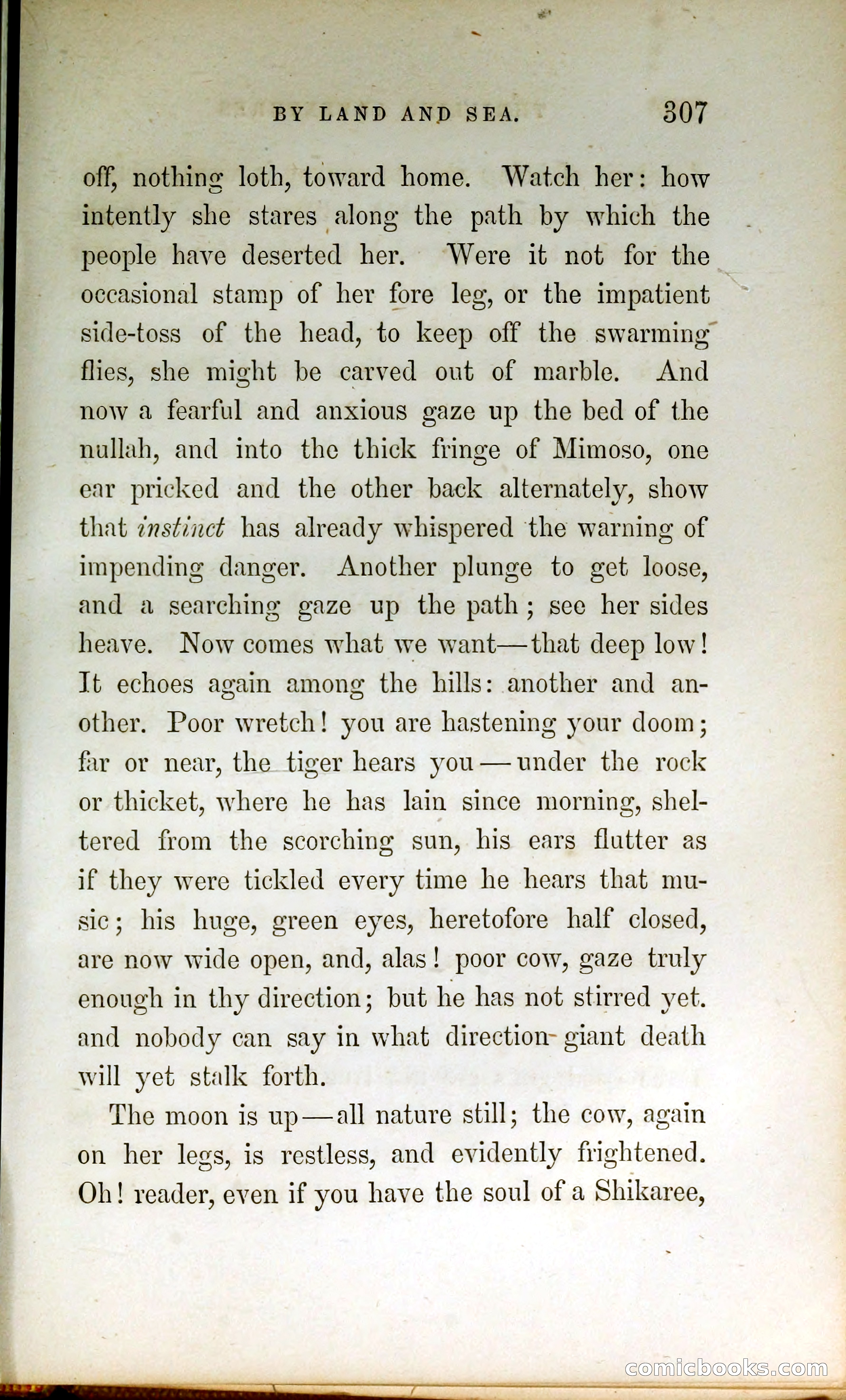 Thrilling Adventures by Land and Sea — page 316 of 399