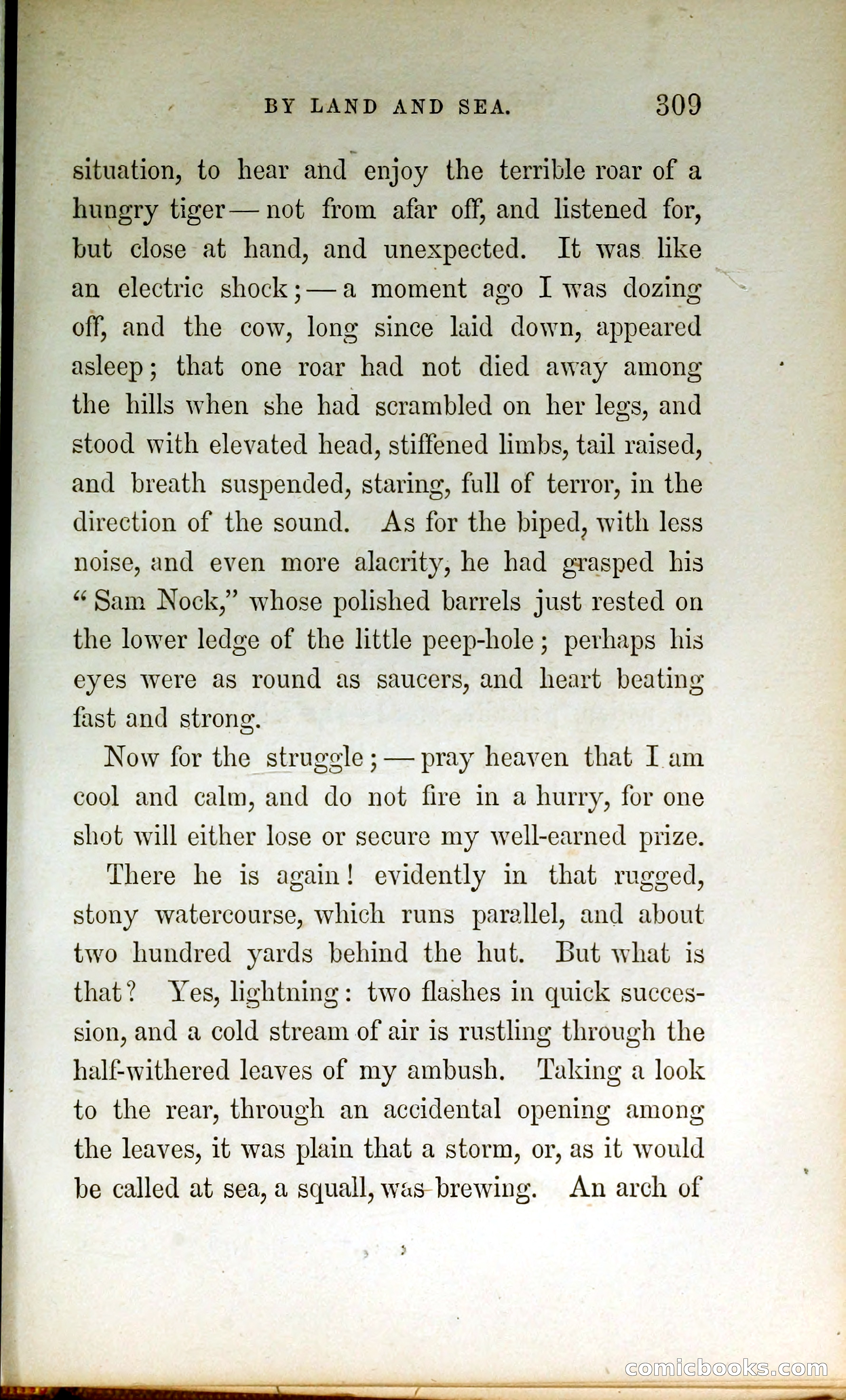 Thrilling Adventures by Land and Sea — page 318 of 399