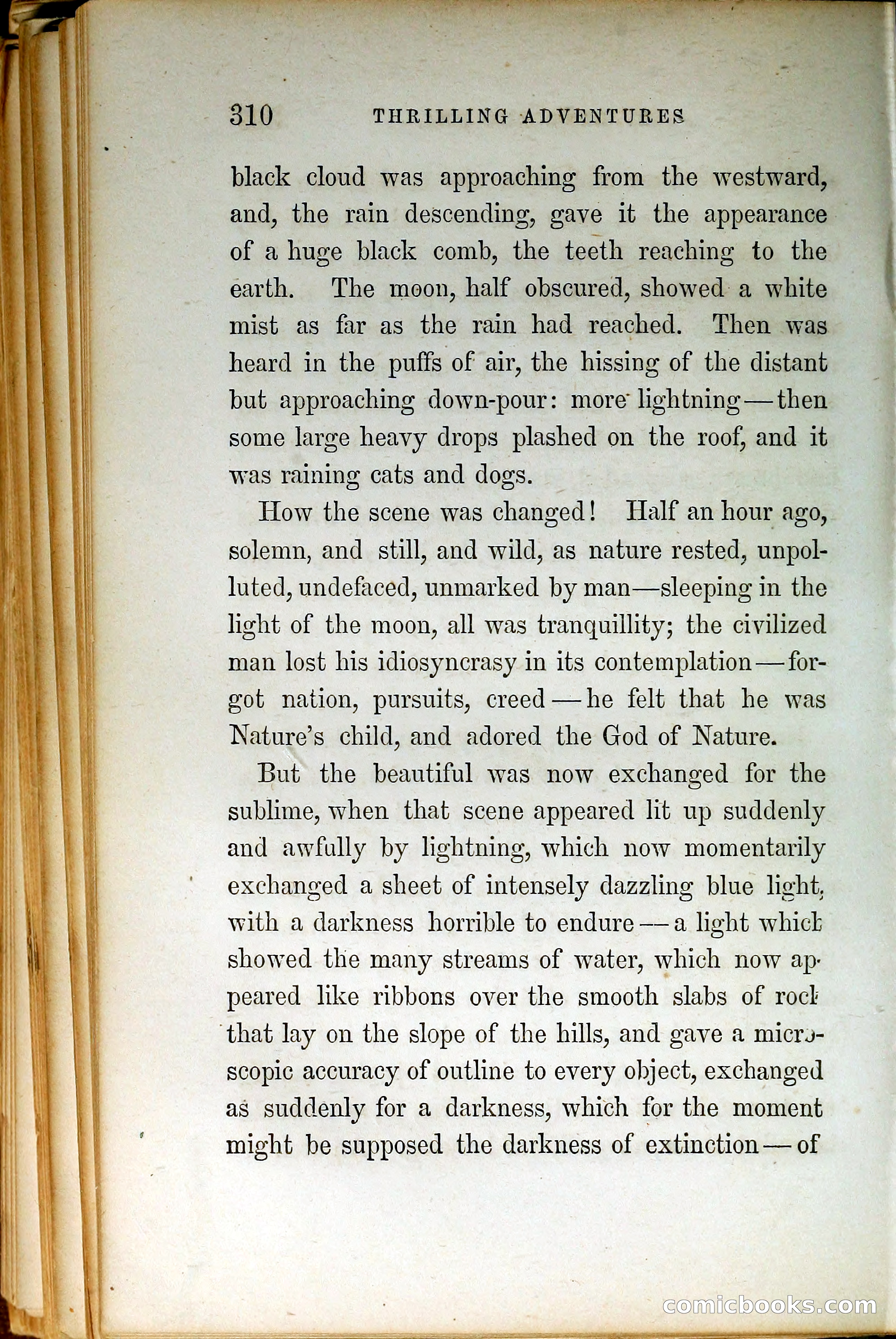 Thrilling Adventures by Land and Sea — page 319 of 399