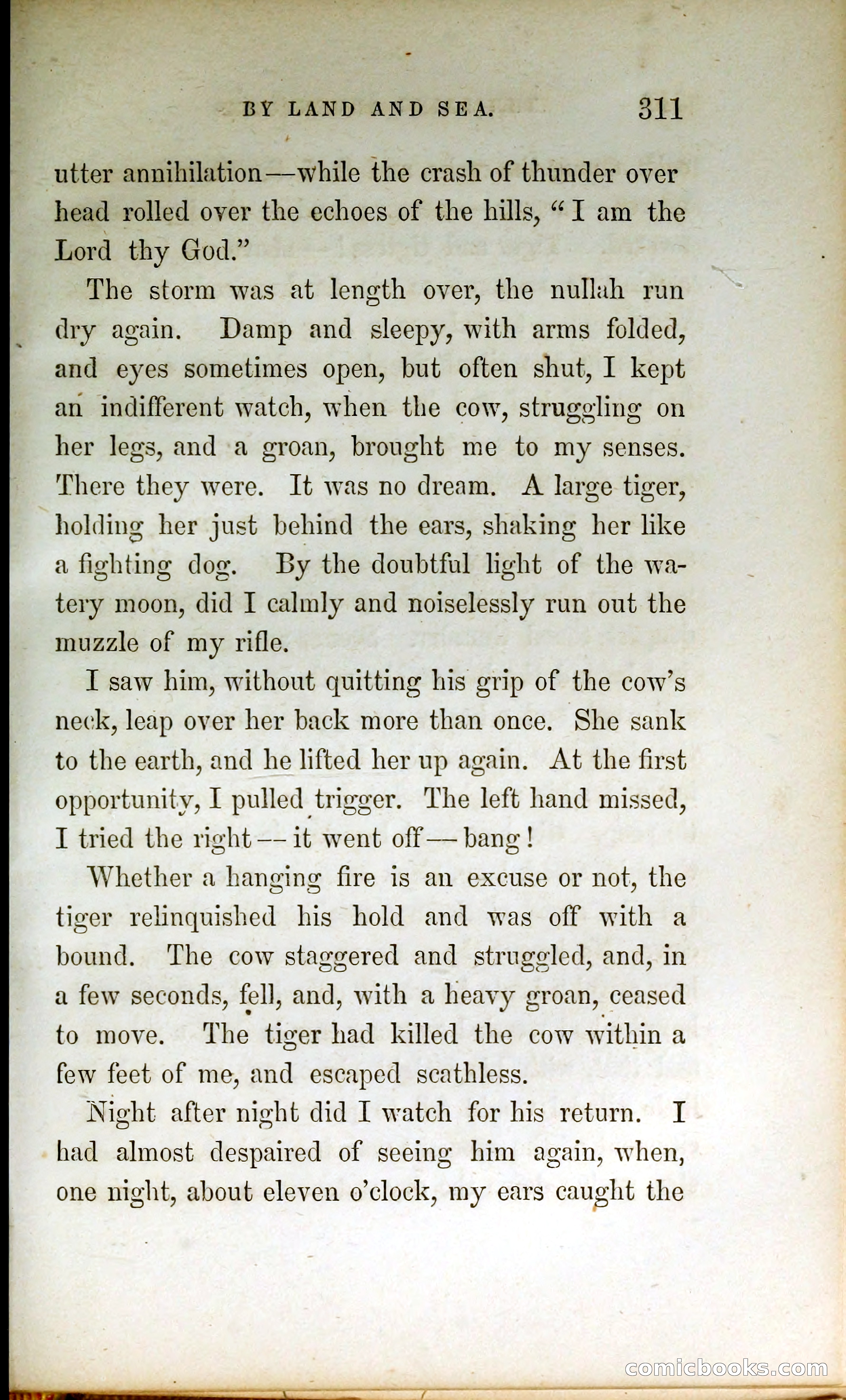 Thrilling Adventures by Land and Sea — page 320 of 399