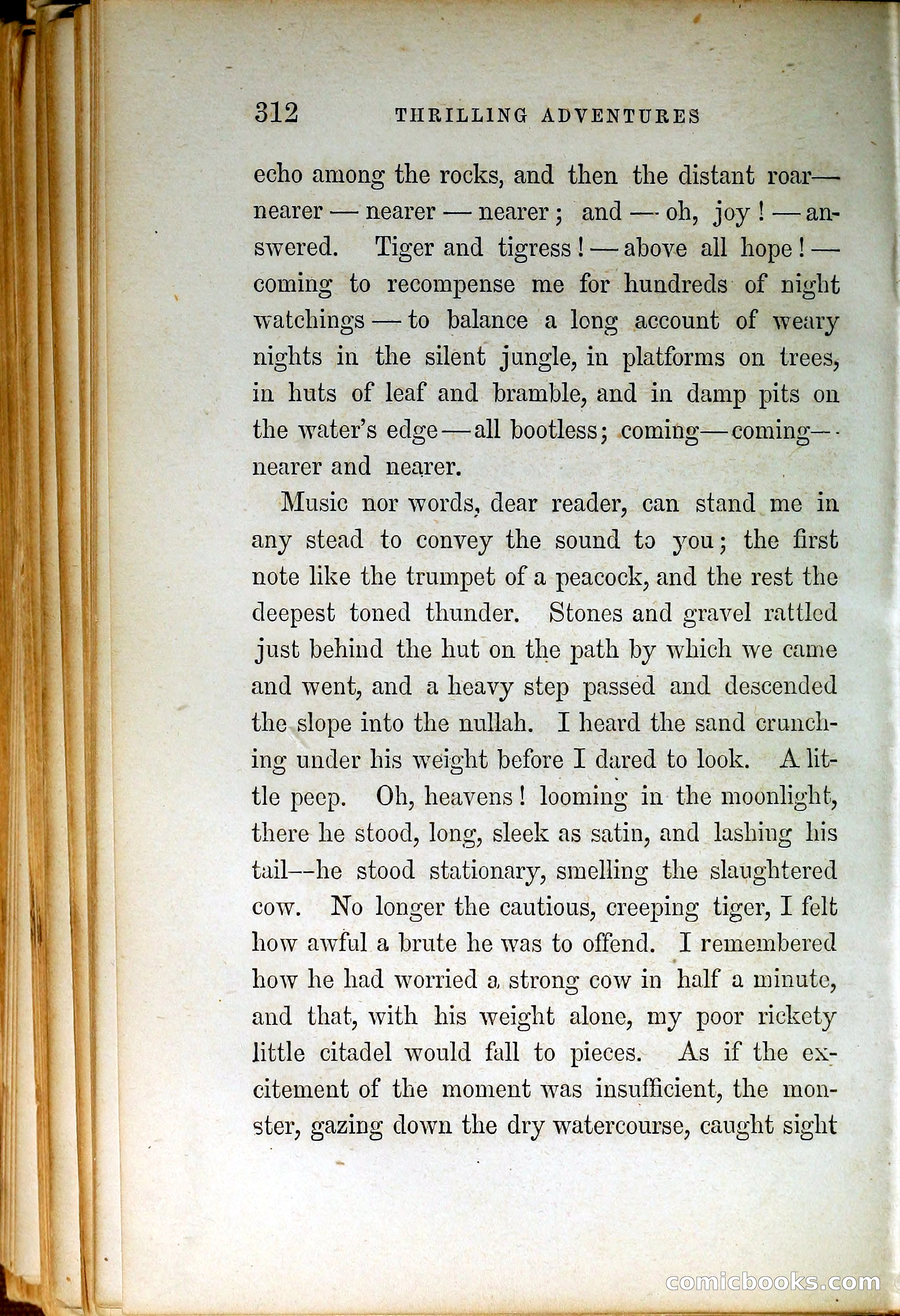 Thrilling Adventures by Land and Sea — page 321 of 399
