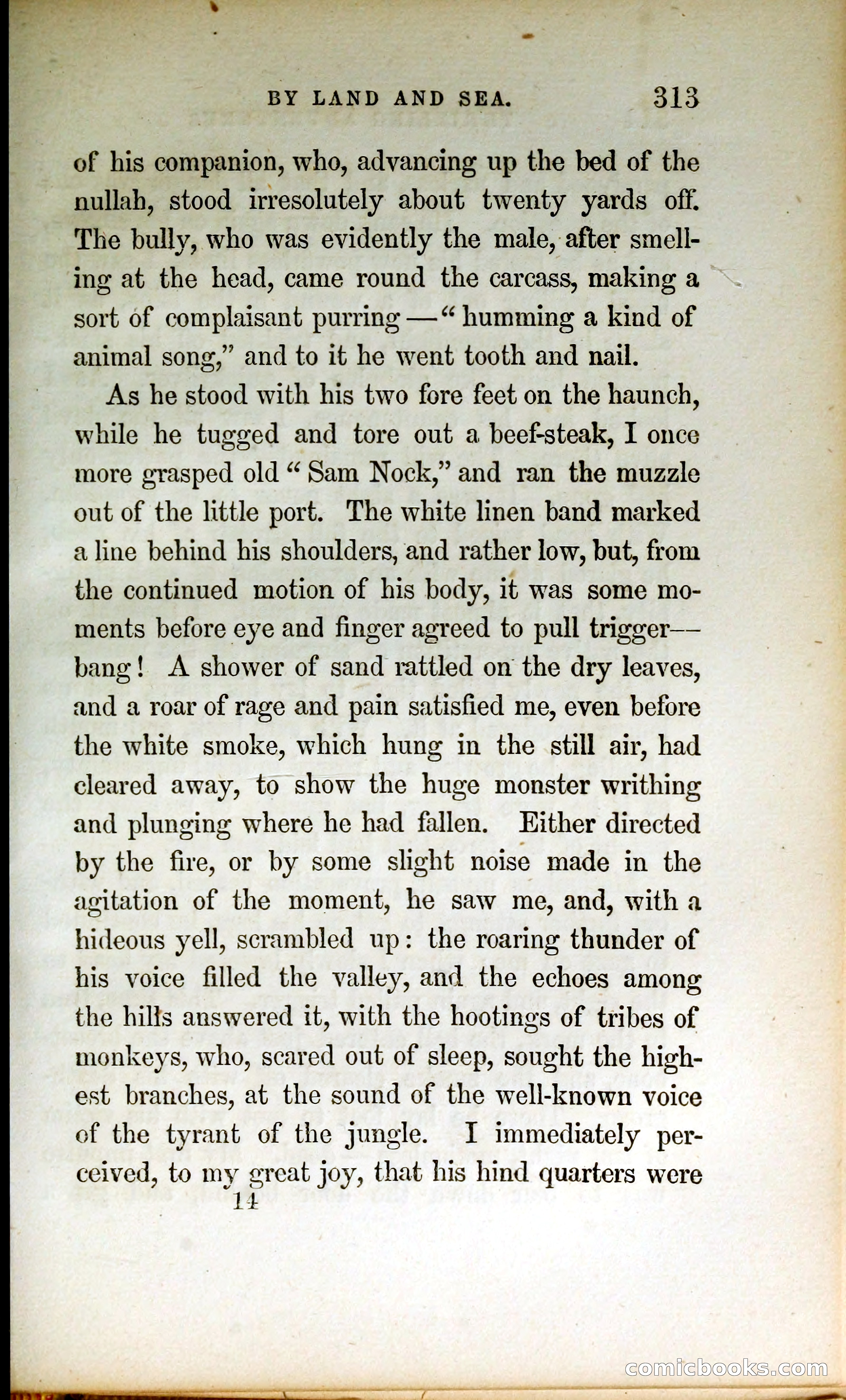 Thrilling Adventures by Land and Sea — page 322 of 399