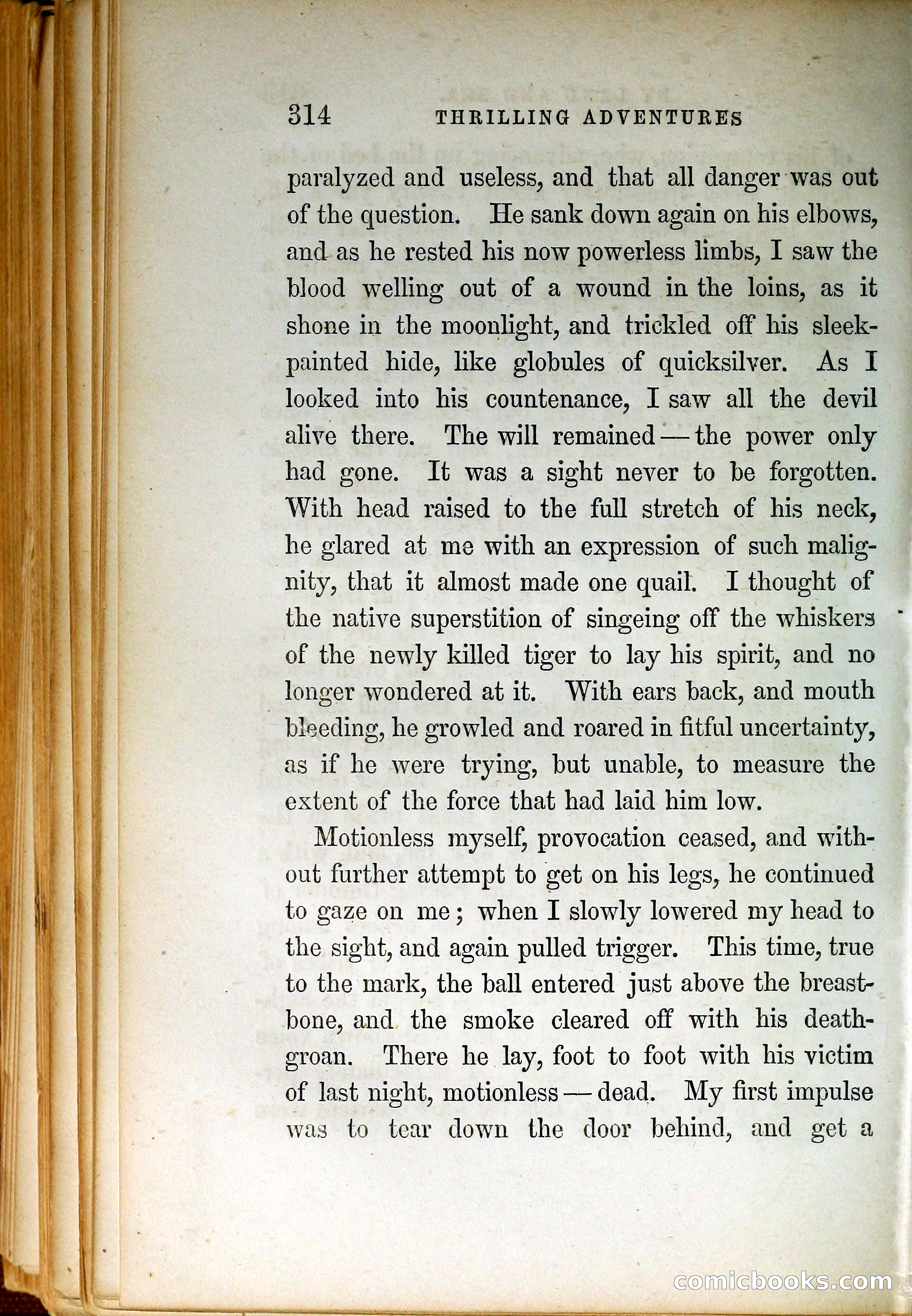 Thrilling Adventures by Land and Sea — page 323 of 399