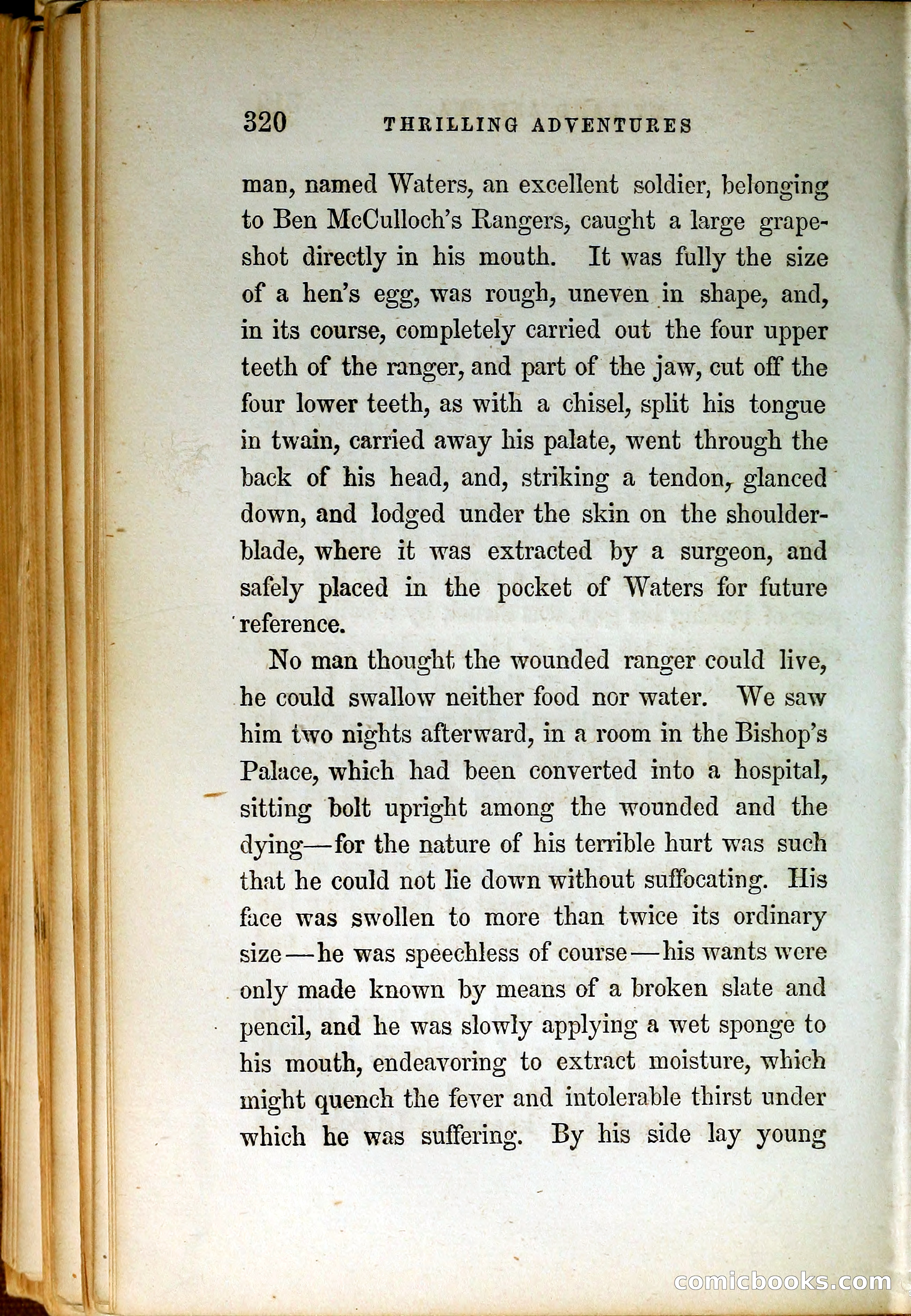 Thrilling Adventures by Land and Sea — page 329 of 399