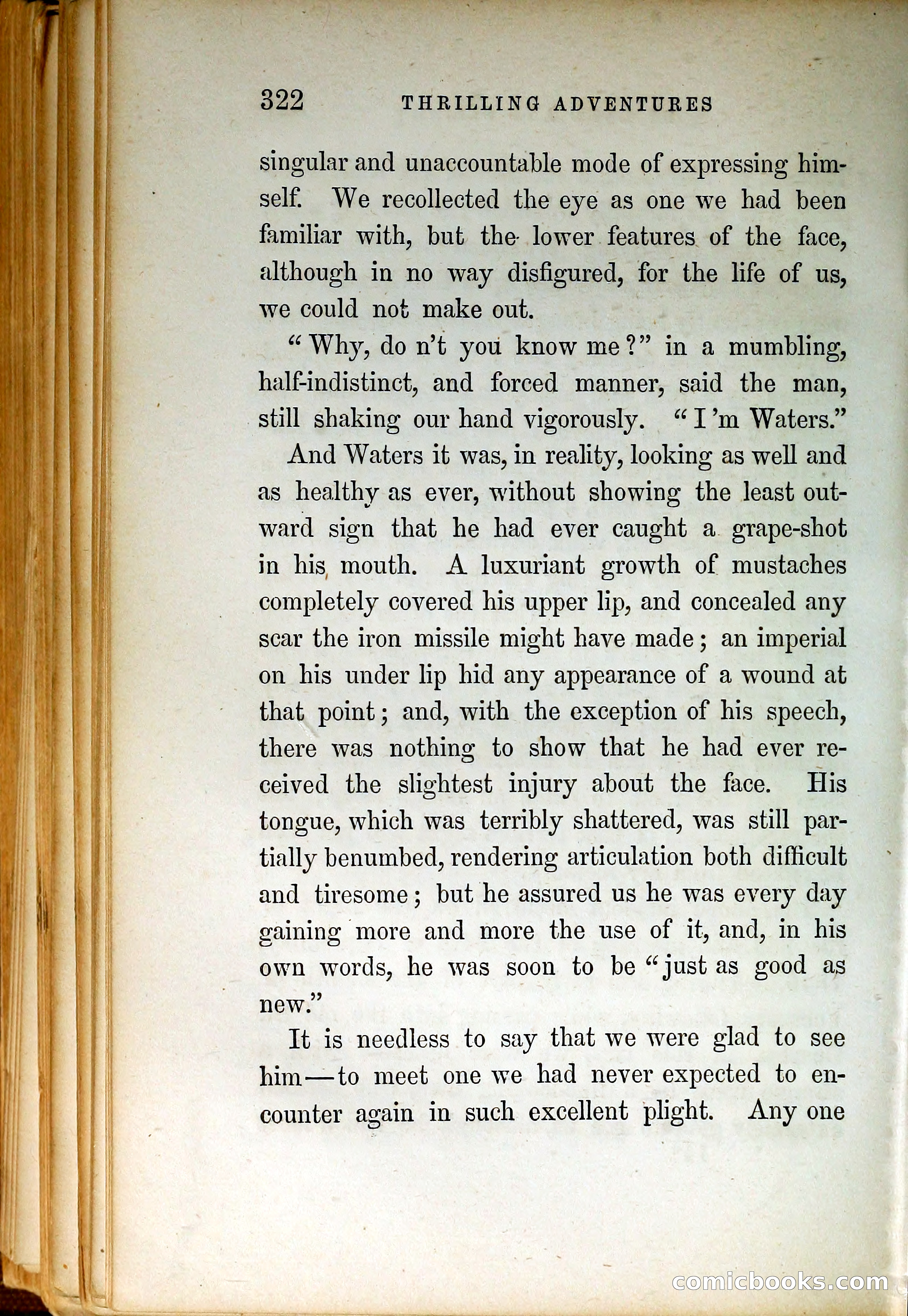 Thrilling Adventures by Land and Sea — page 331 of 399